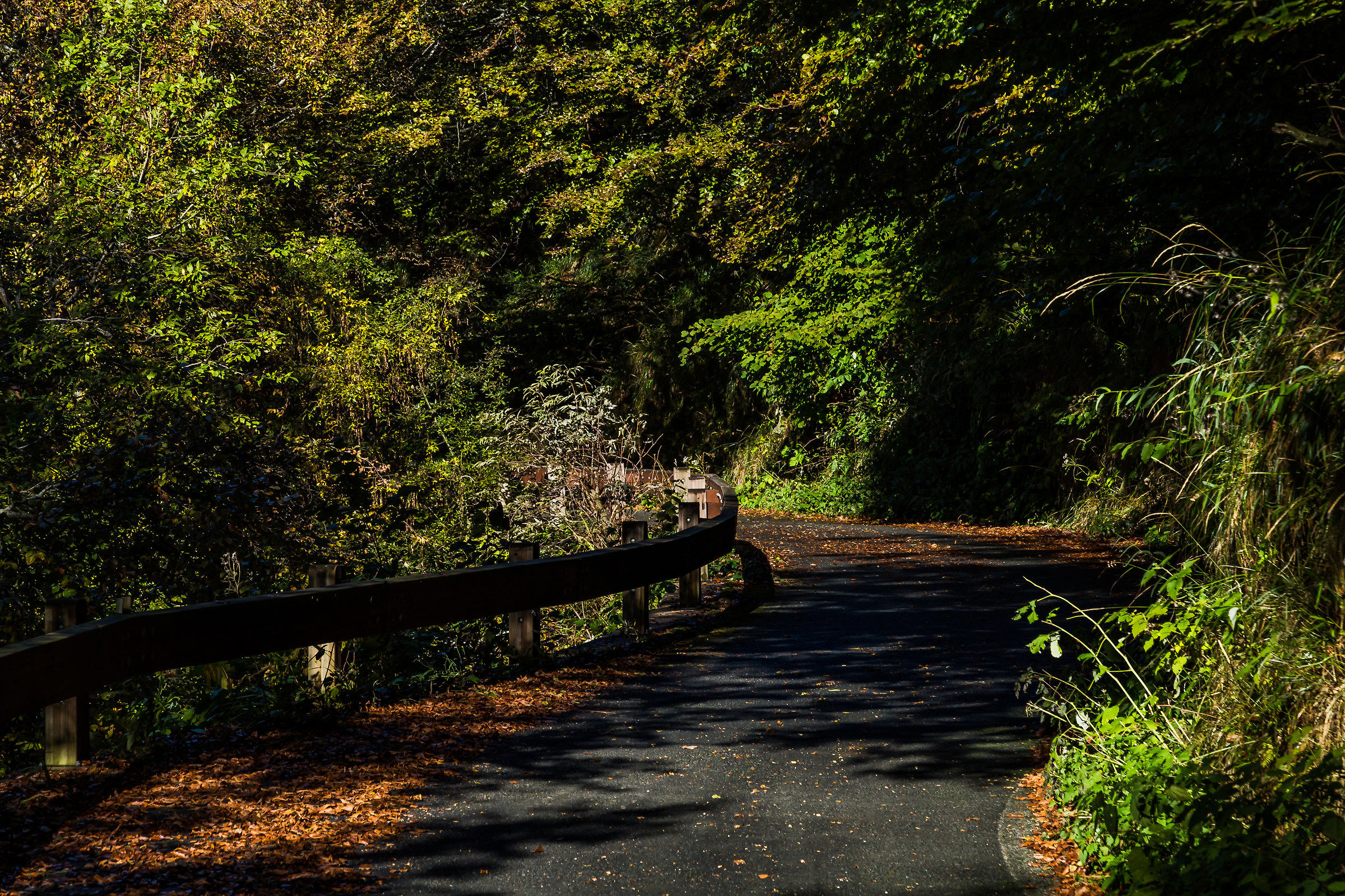 Curve dalla Galleria Rosazza (Oropa)