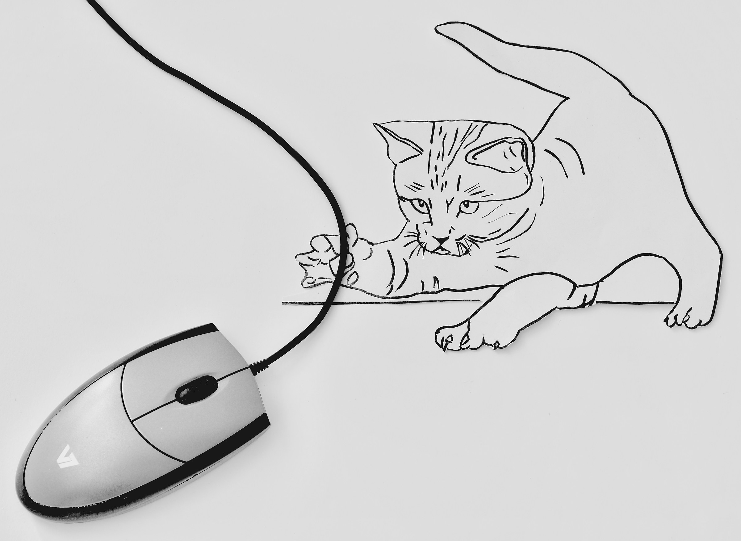 The cat and the "mouse"