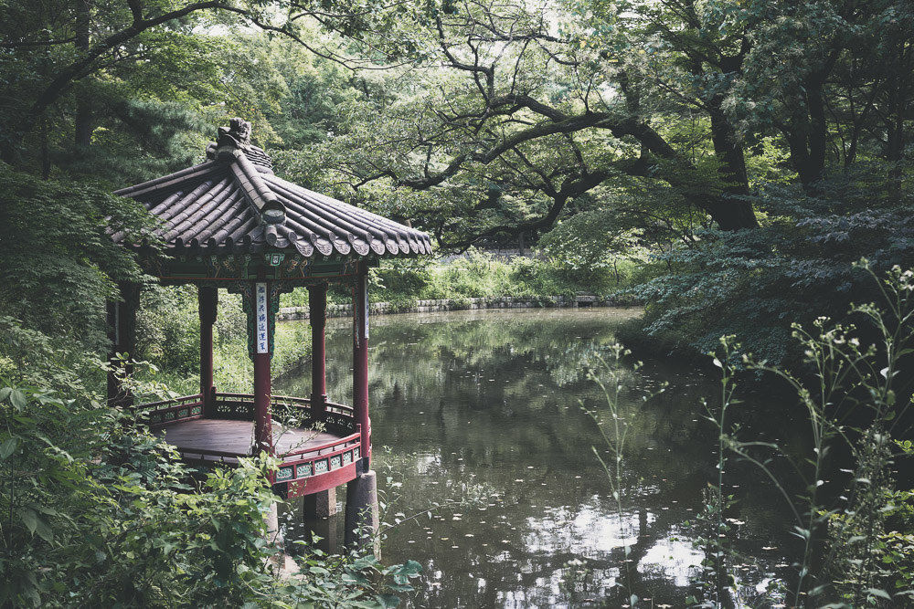 Secret Gardens of Changdeokgung Temple, Seoul