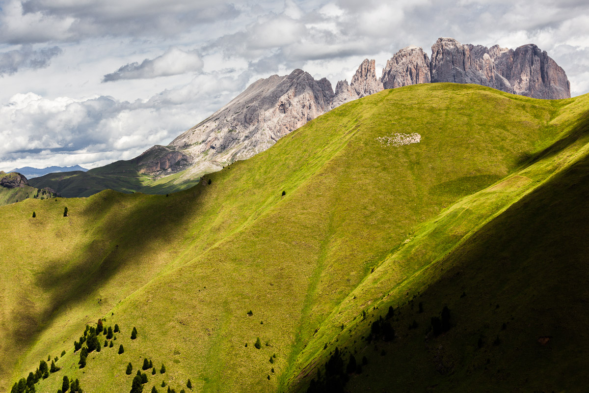 Lights and shadows on green pastures ...