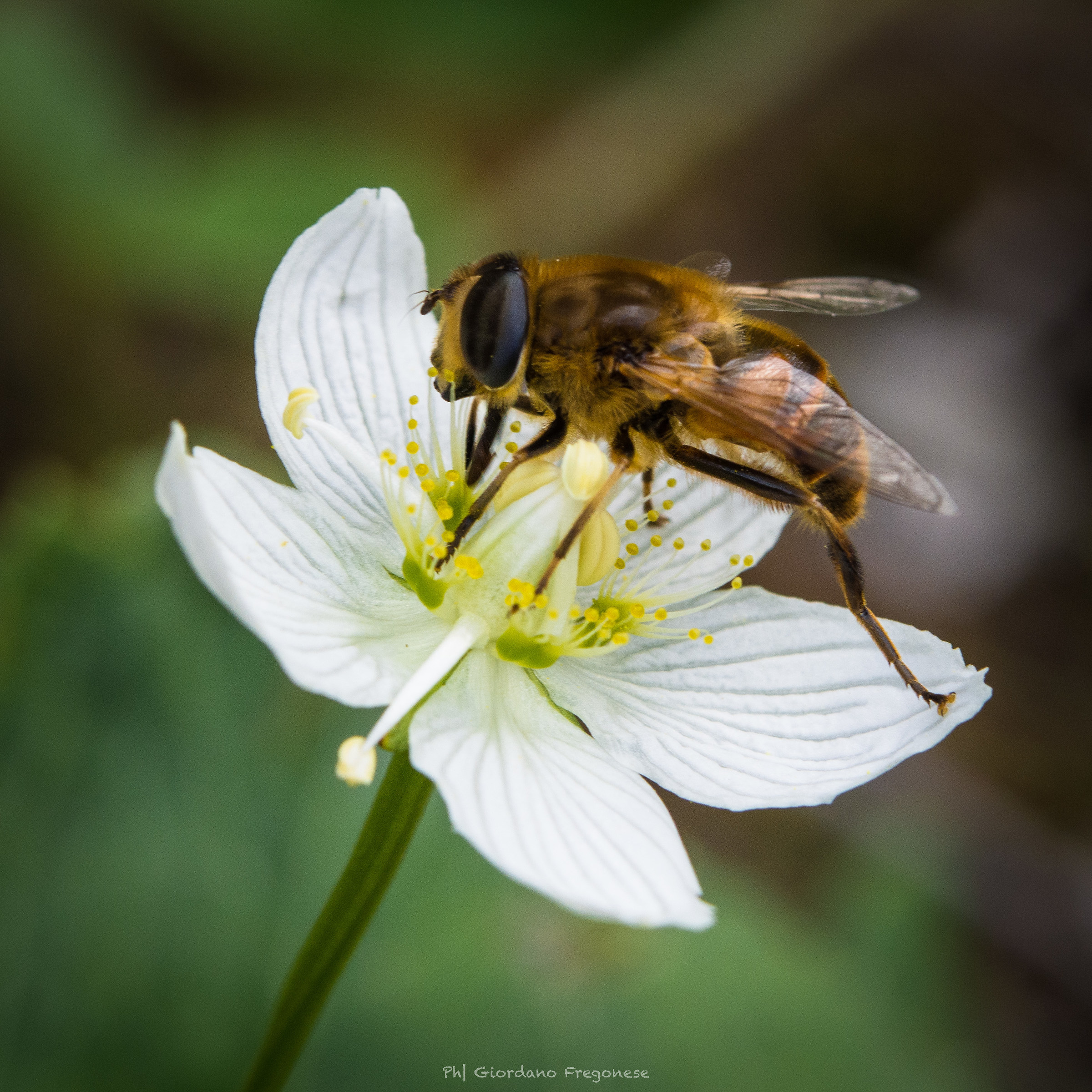 we are working for you...