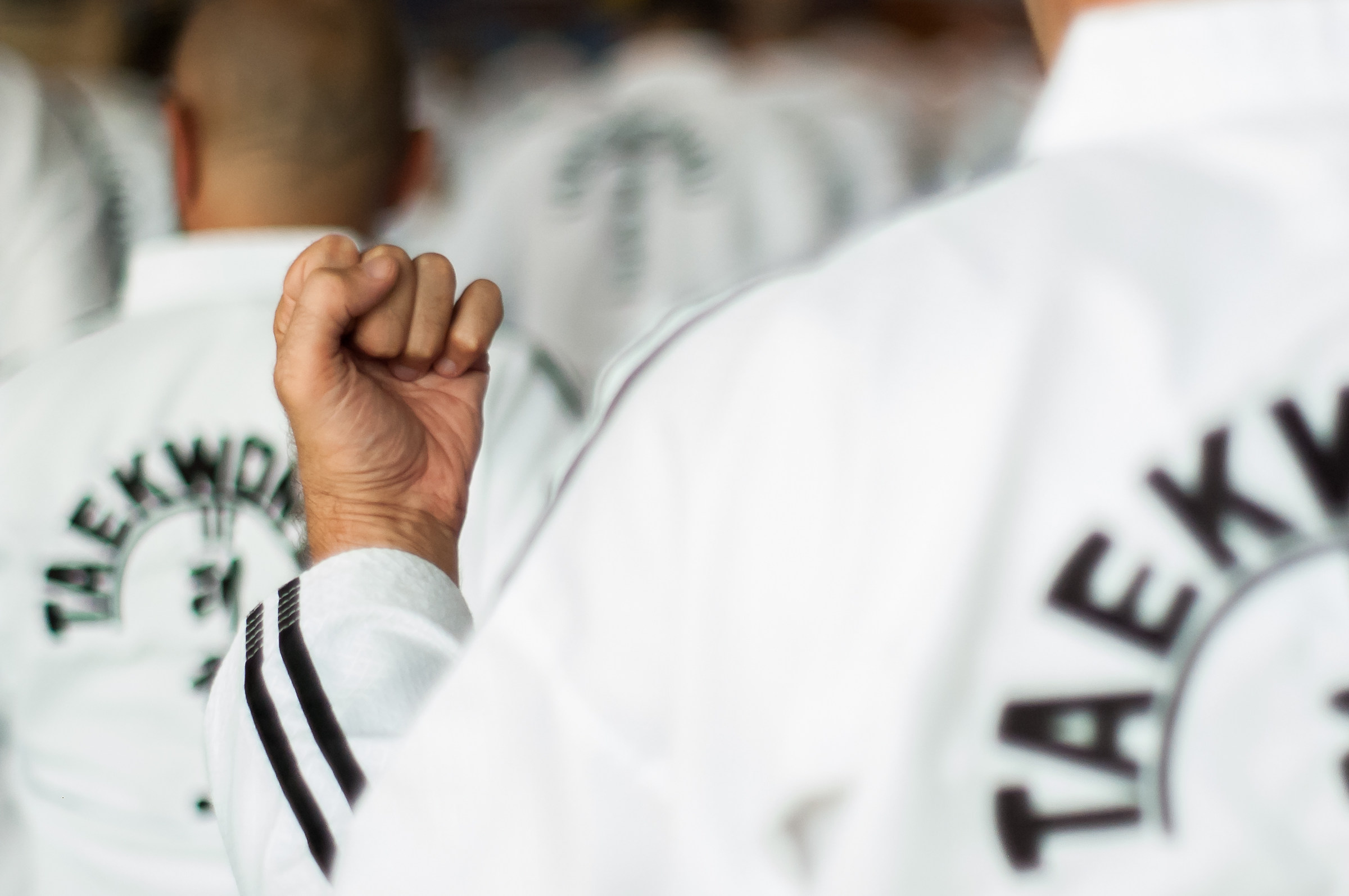 I love Taekwondo ITF