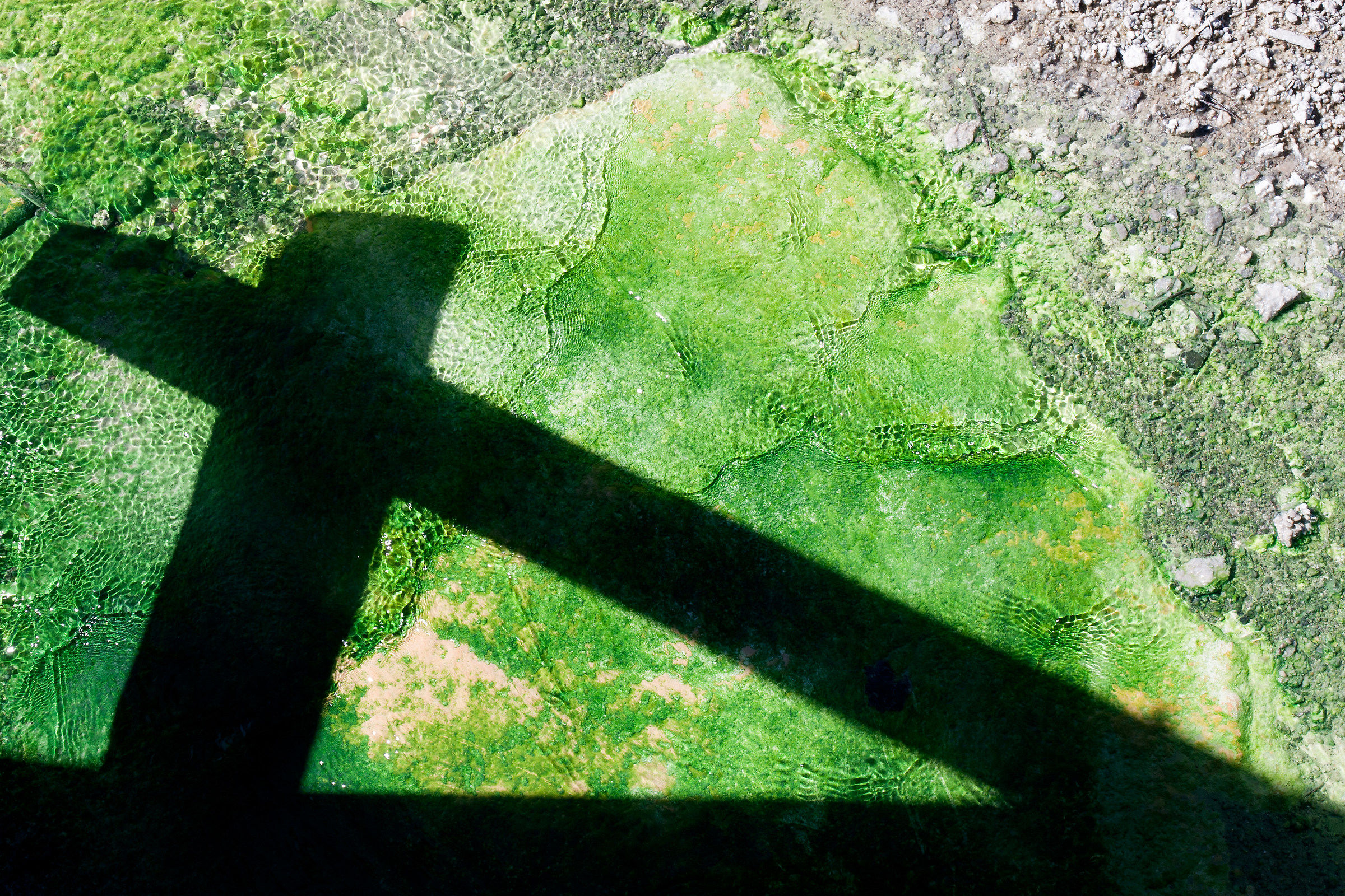 Colori di Yellowstone