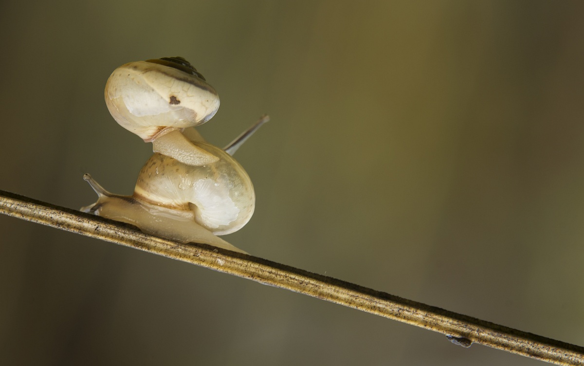 Accidenti non so come mai, ma oggi mi sento pesante.
