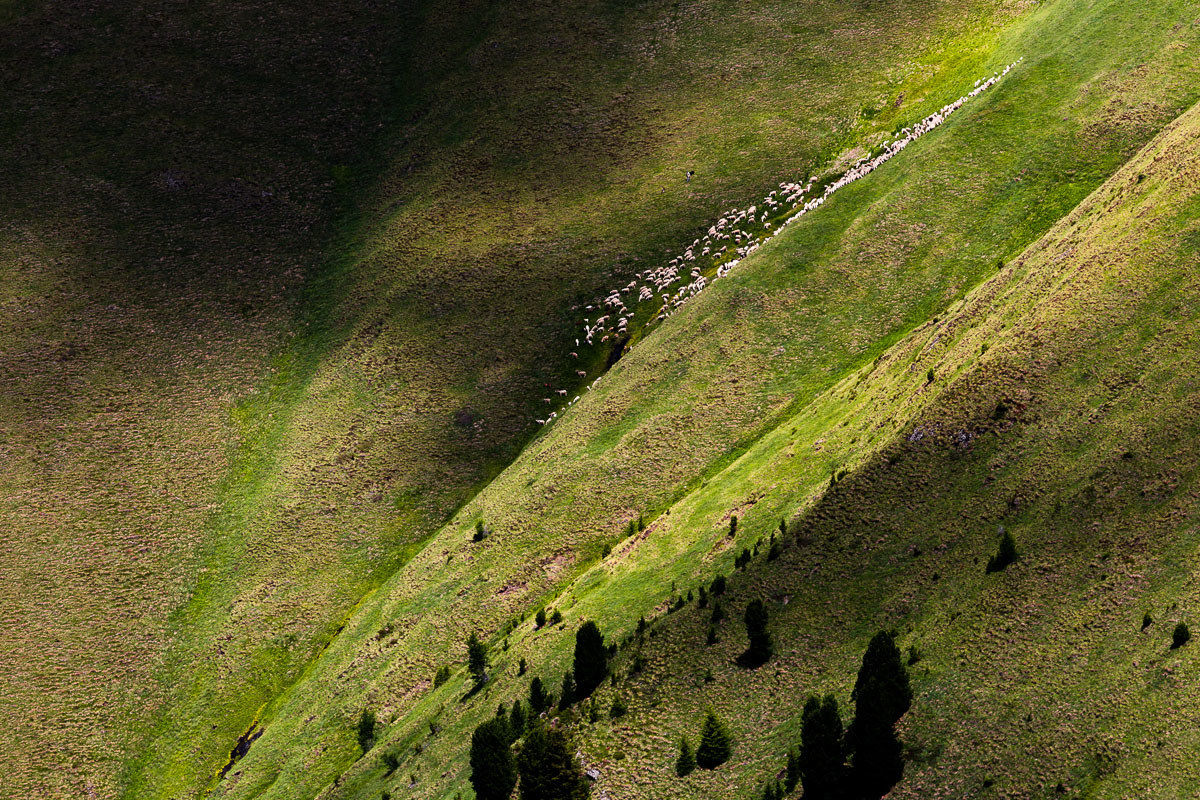 Garnish where the grass is greener ...