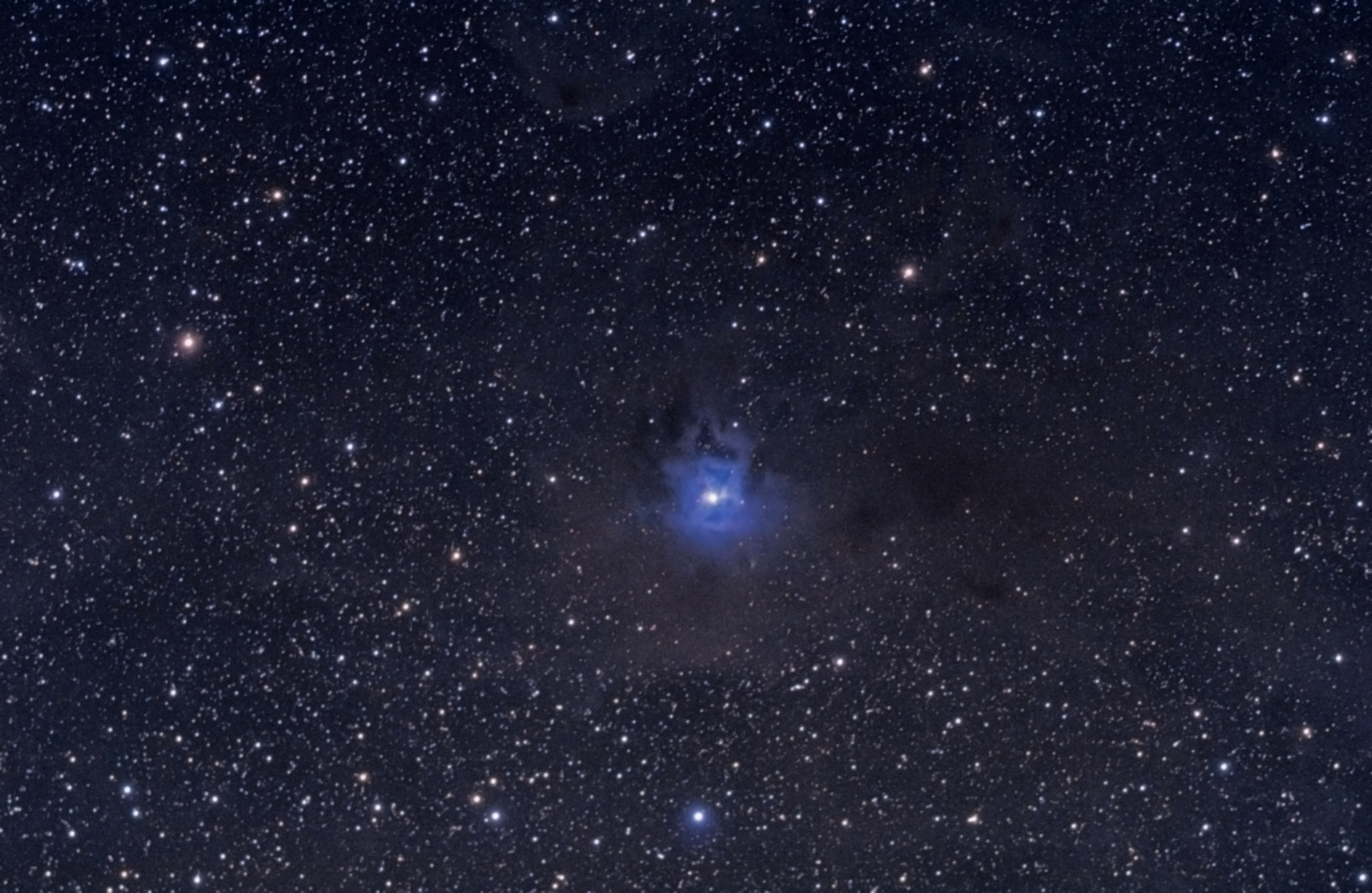 NGC 7023 diffused nebula or Iris nebula