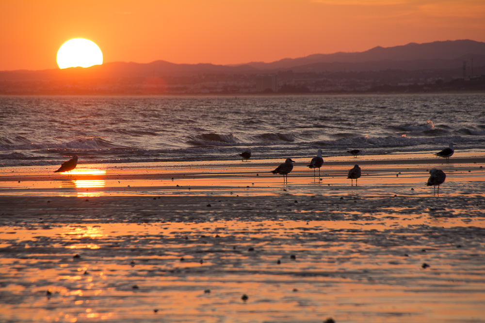 tramonto in Algarve