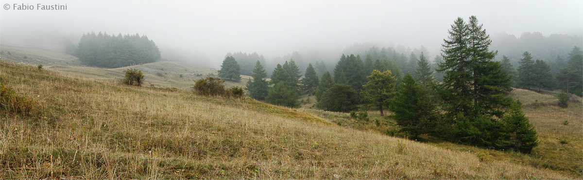Parco del Gran Bosco di Salbertrand