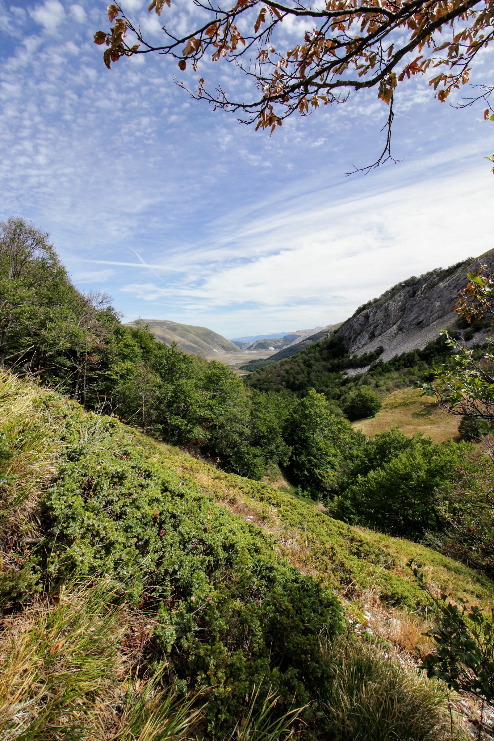 The planes of the piece go to the shelter V.Sebastiani