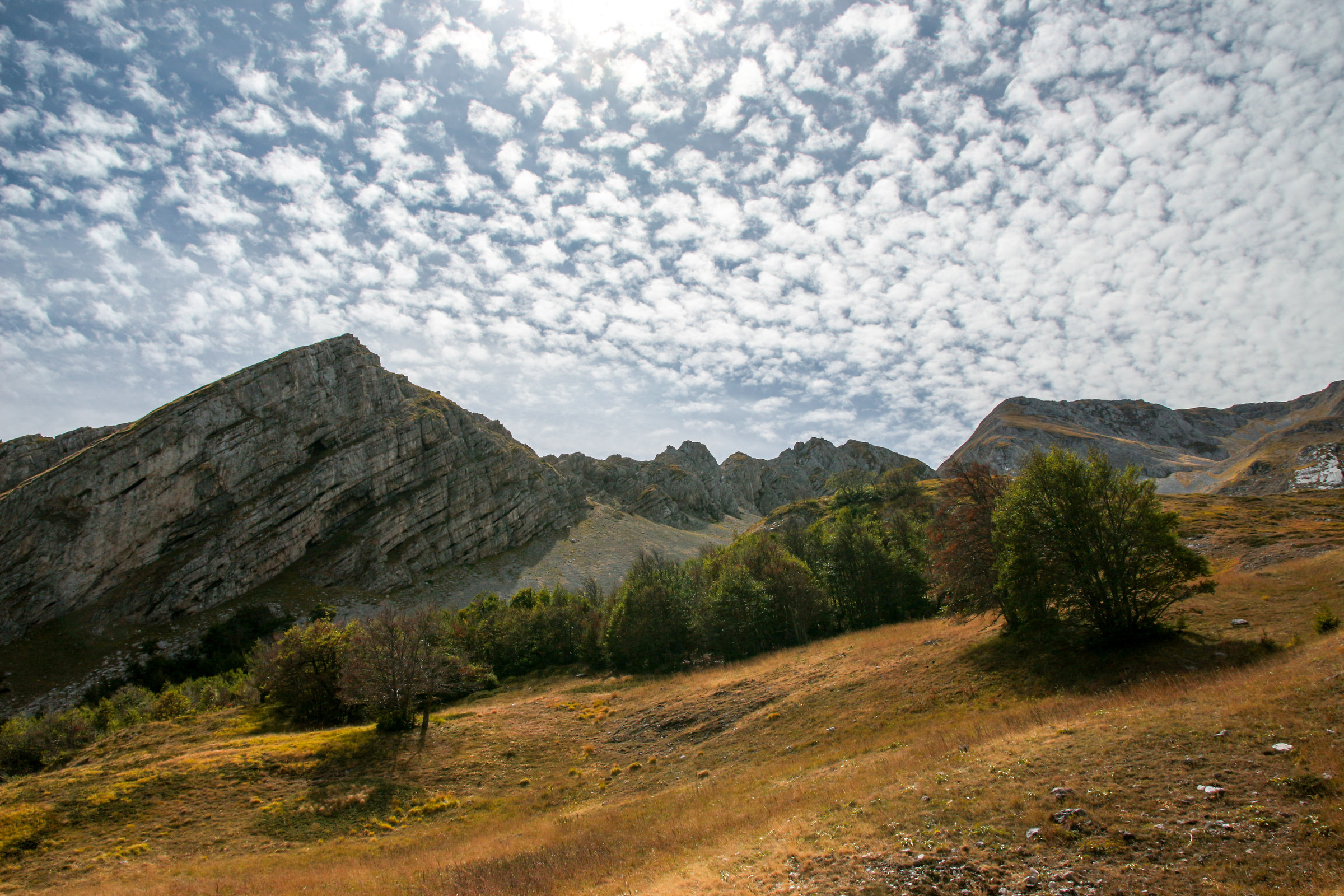 At the exit of the beech, Valley Cerchiata.
