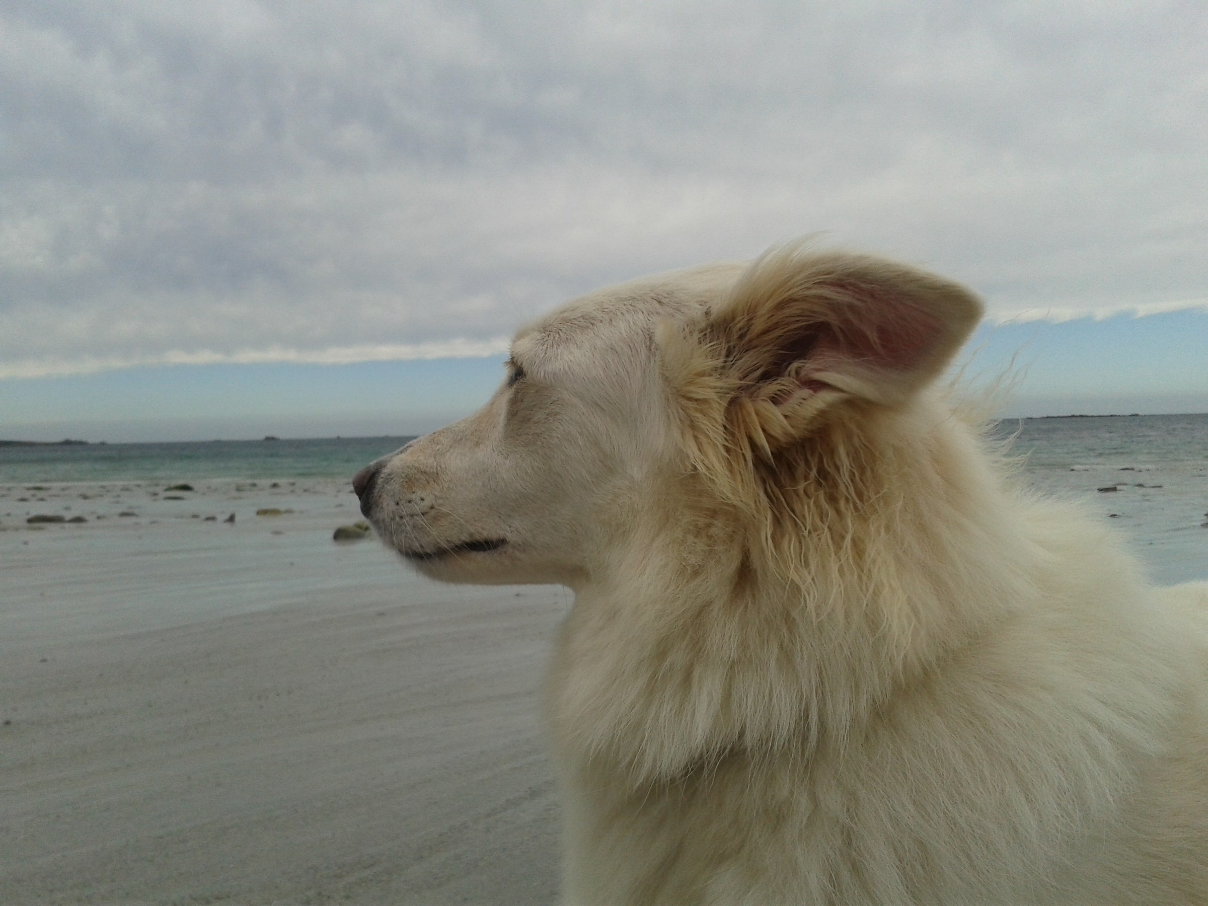 pondering the horizon