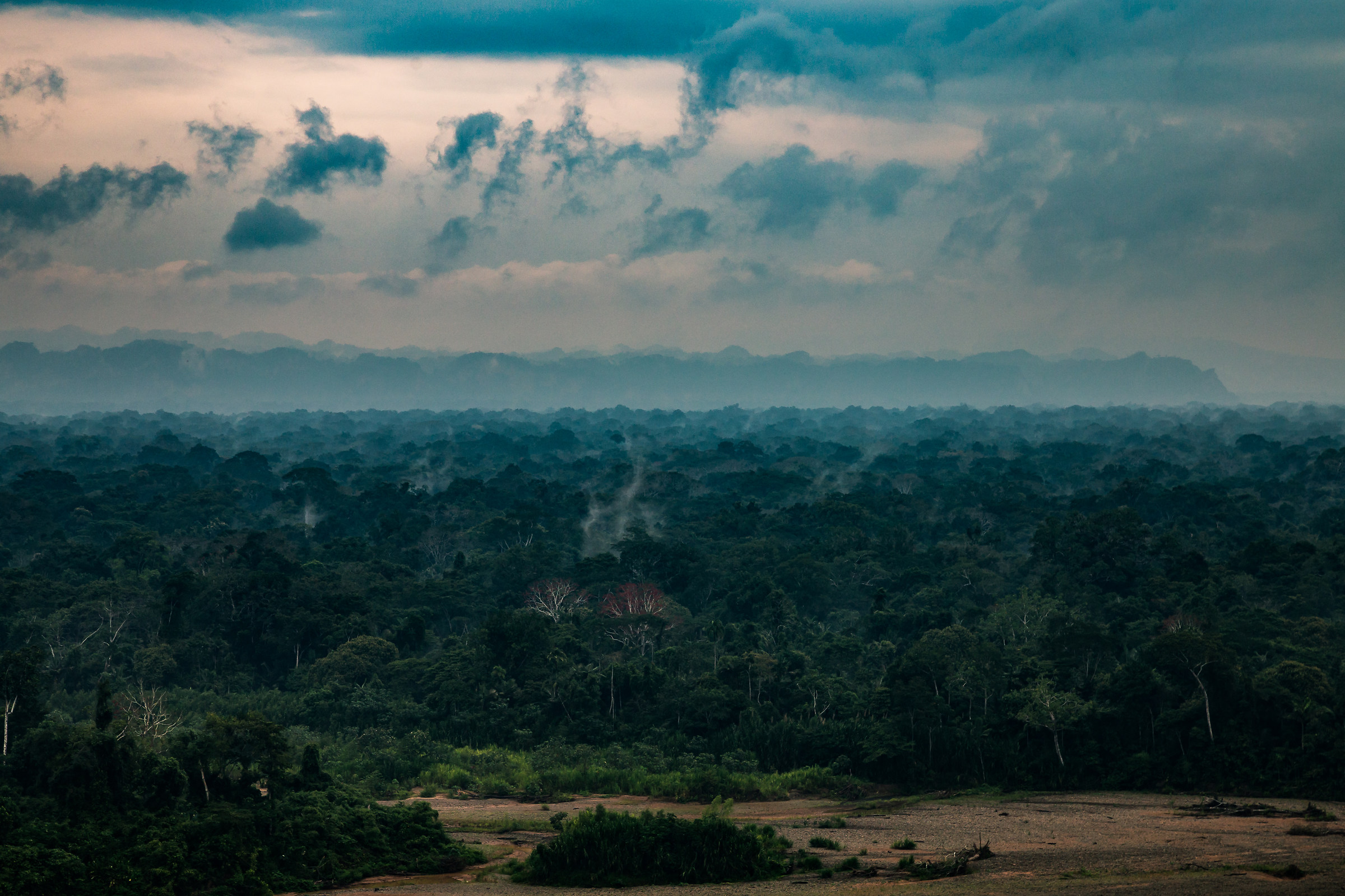 L'interno della foresta di mattina, Parque Madidi