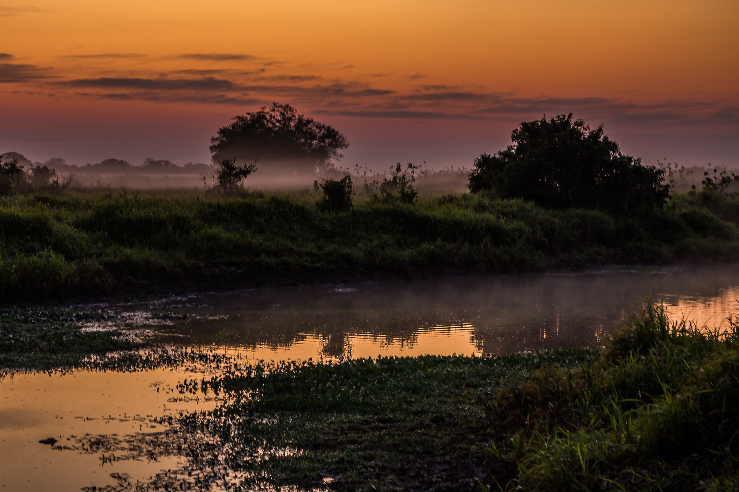 Alba tra i coccodrilli, Pampas de Rio Yacuma