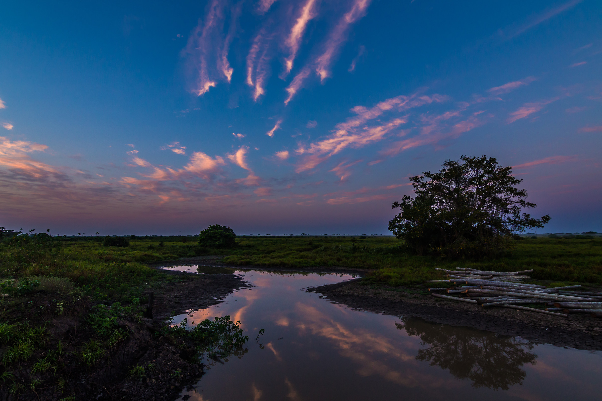 Alba tra i coccodrilli, Pampas de Rio Yacuma