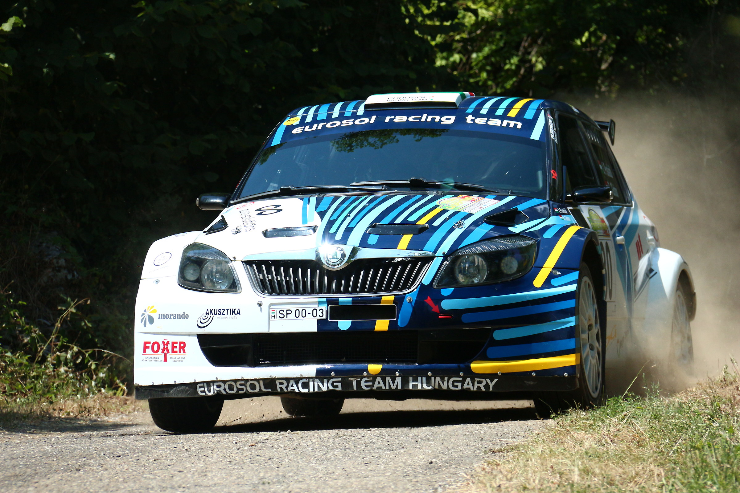 rally casentino 2015