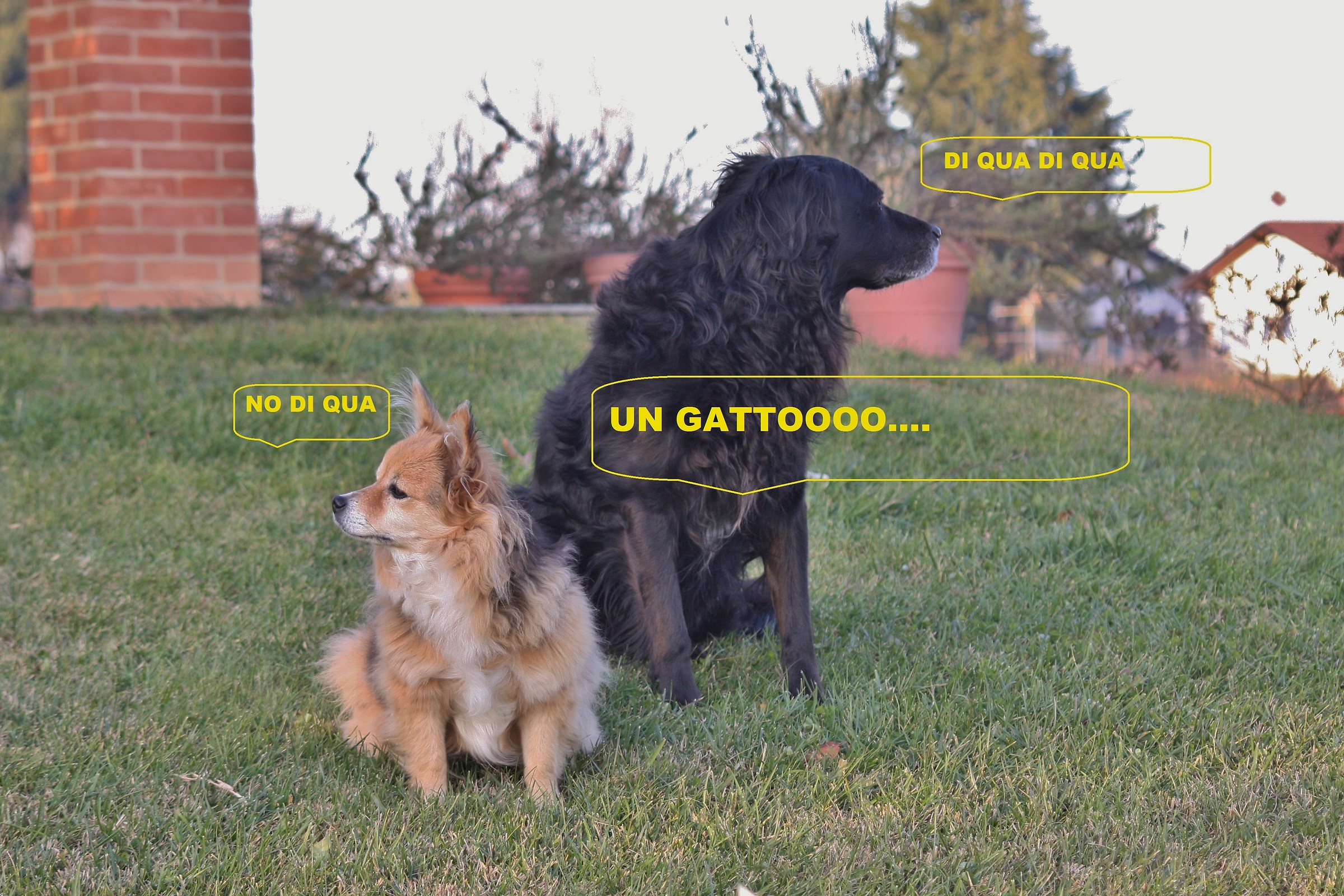 a tribute to two hairy flo and winny comrades