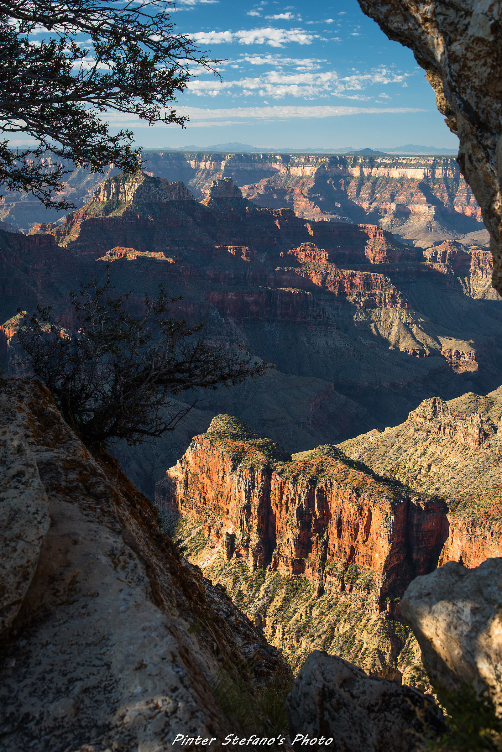 uno scorcio del grand canyon