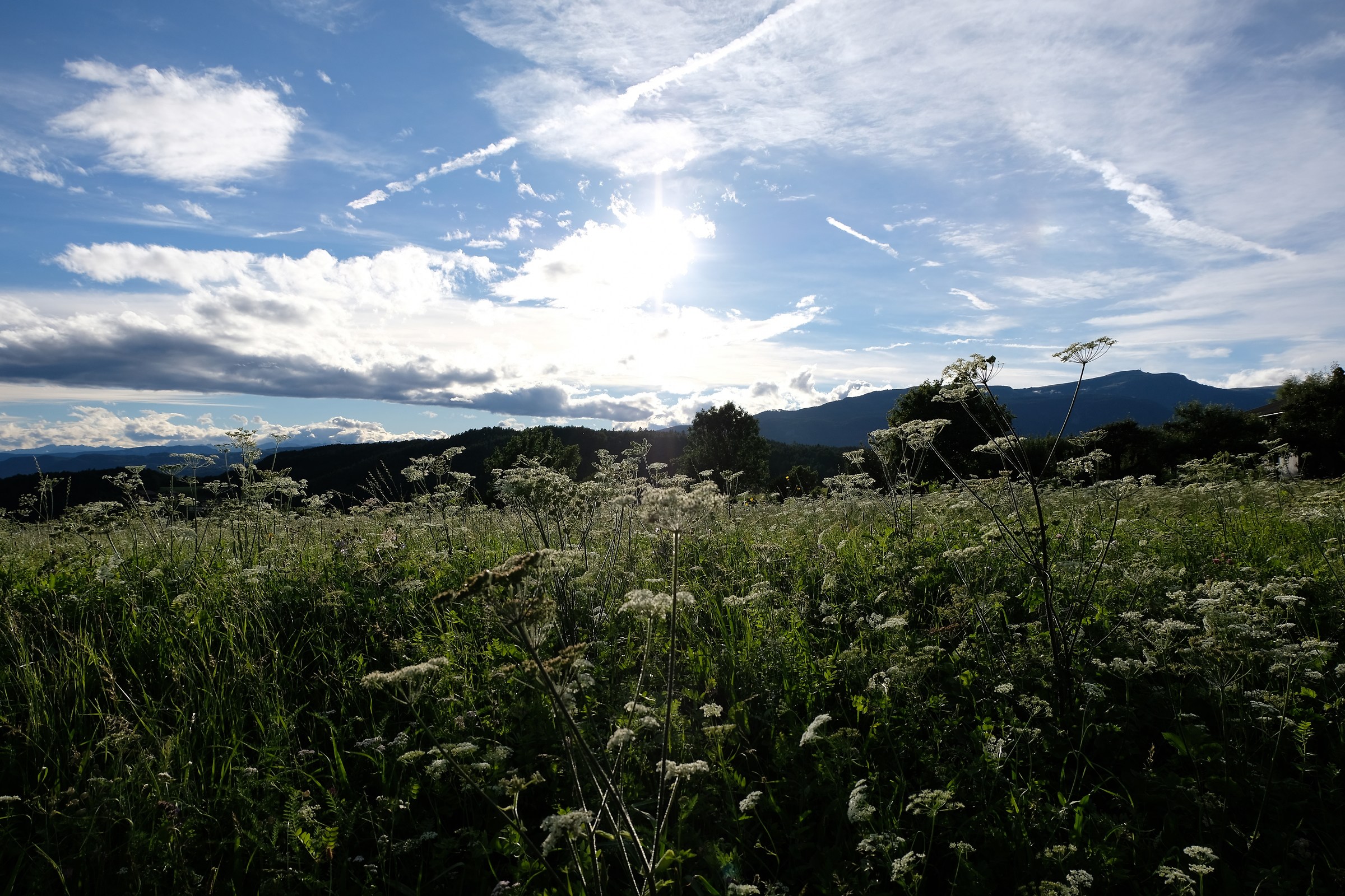 Sunset at the Alpe di Siusi