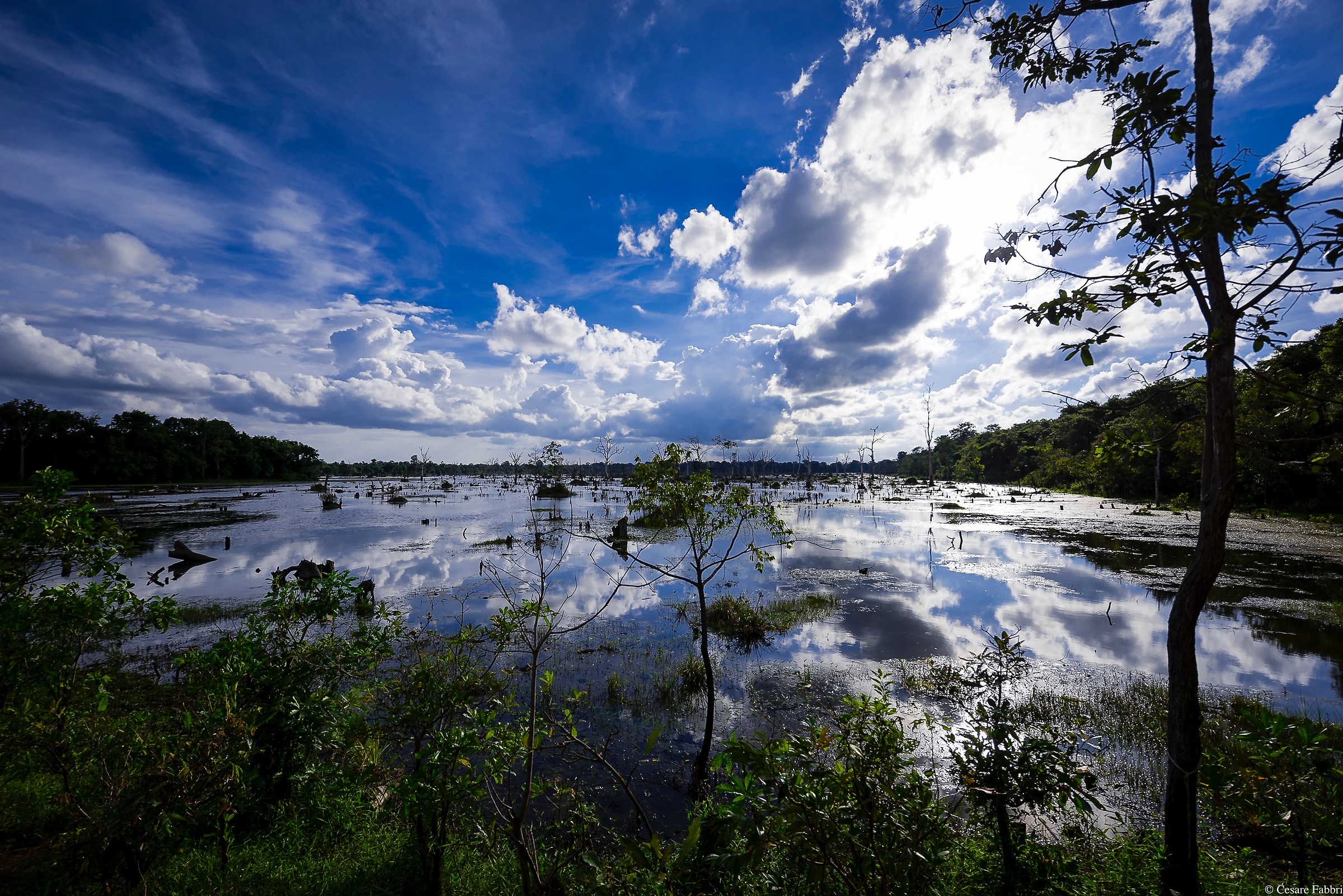 Prov. Siem Reap (Cambogia) - Laguna ingresso al tempio