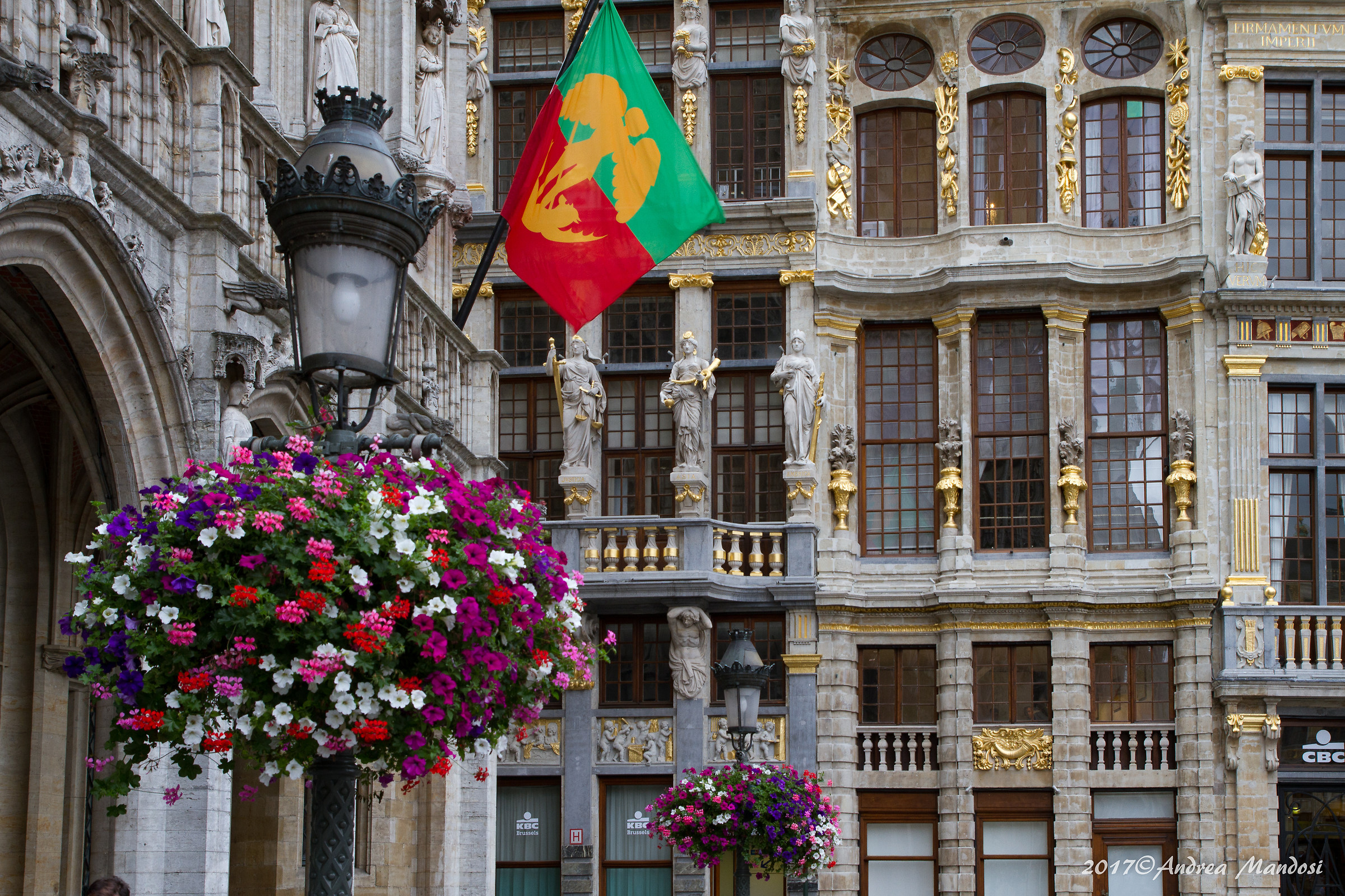 Bruxelles Grand Place particolare