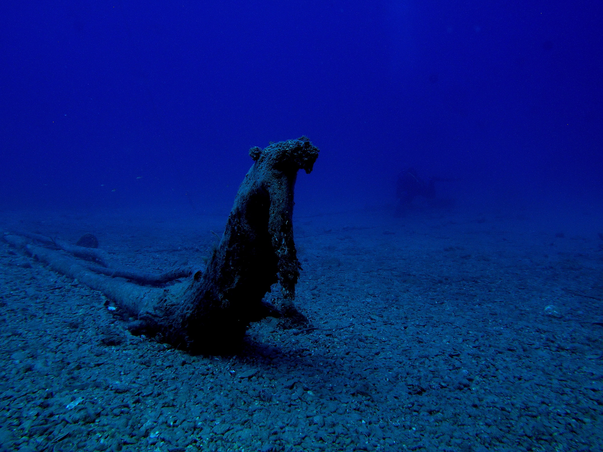 The monster of the abyss