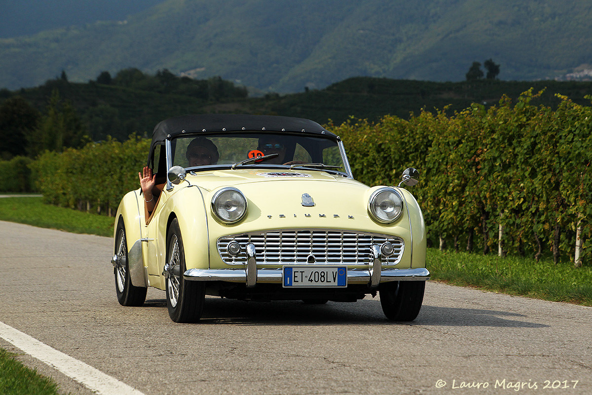 100 Miglia ed.2017 - Triumph TR3 A Sport (1960)