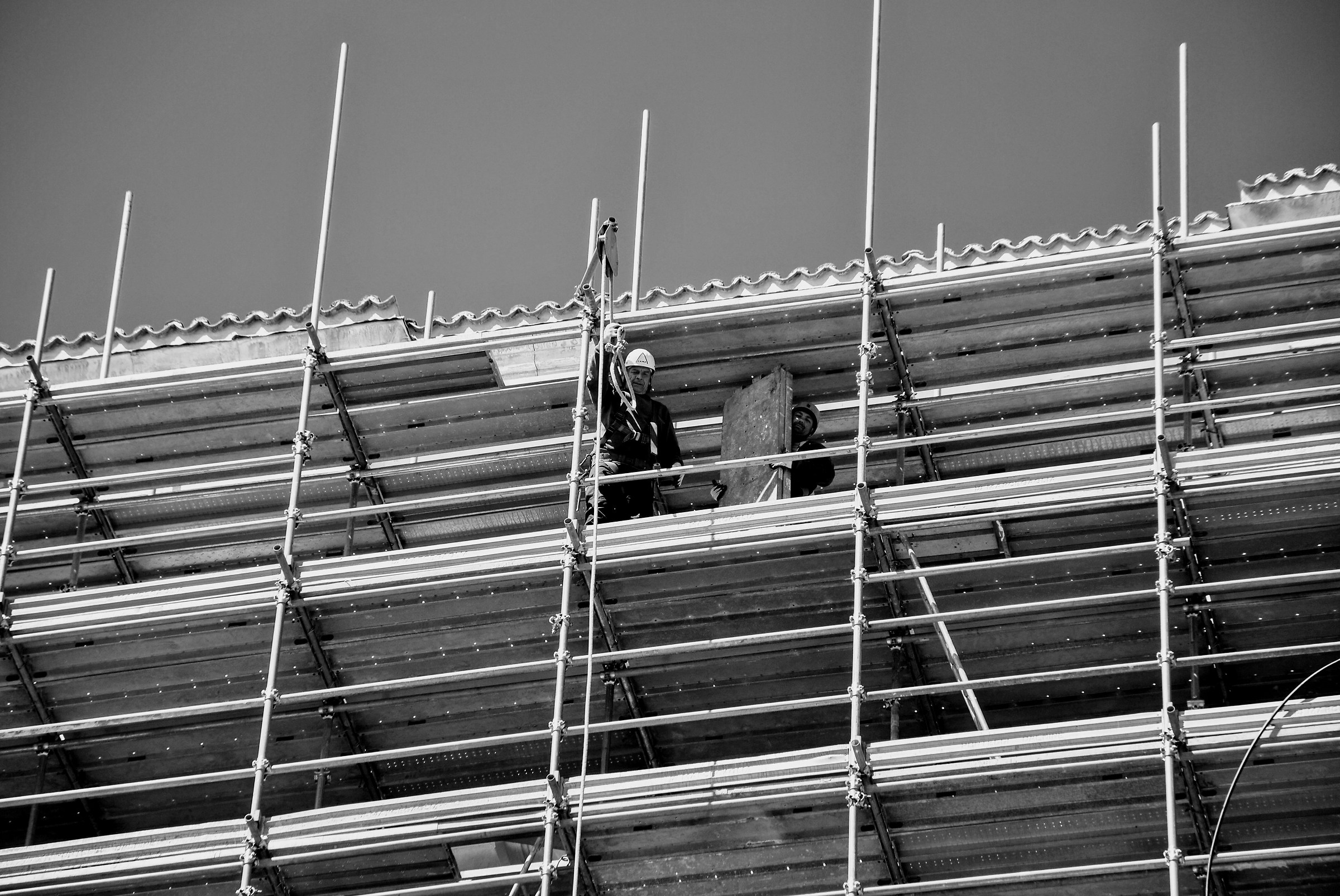 The Aquila is reborn ...