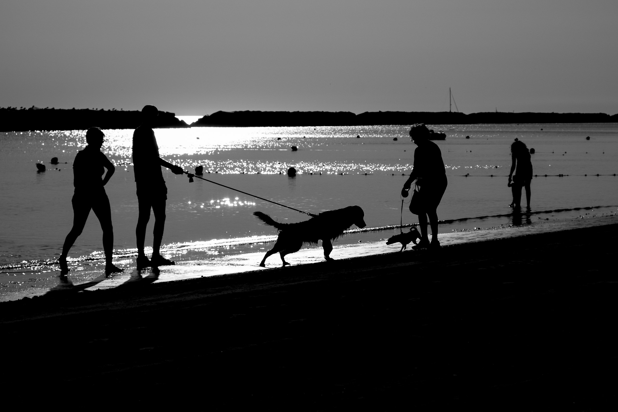 Incontri all'alba sulla battigia