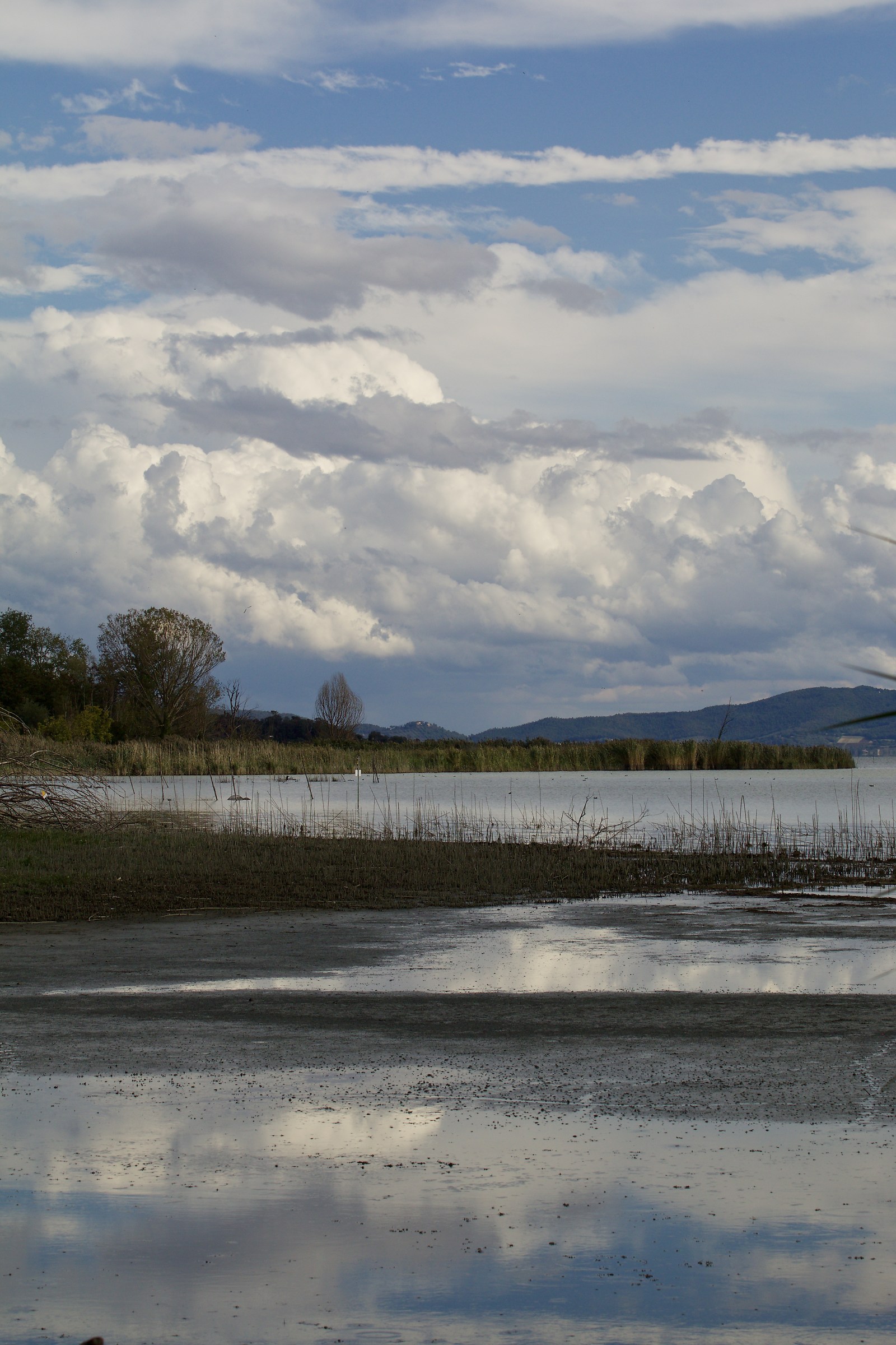 Lake Trasimeno