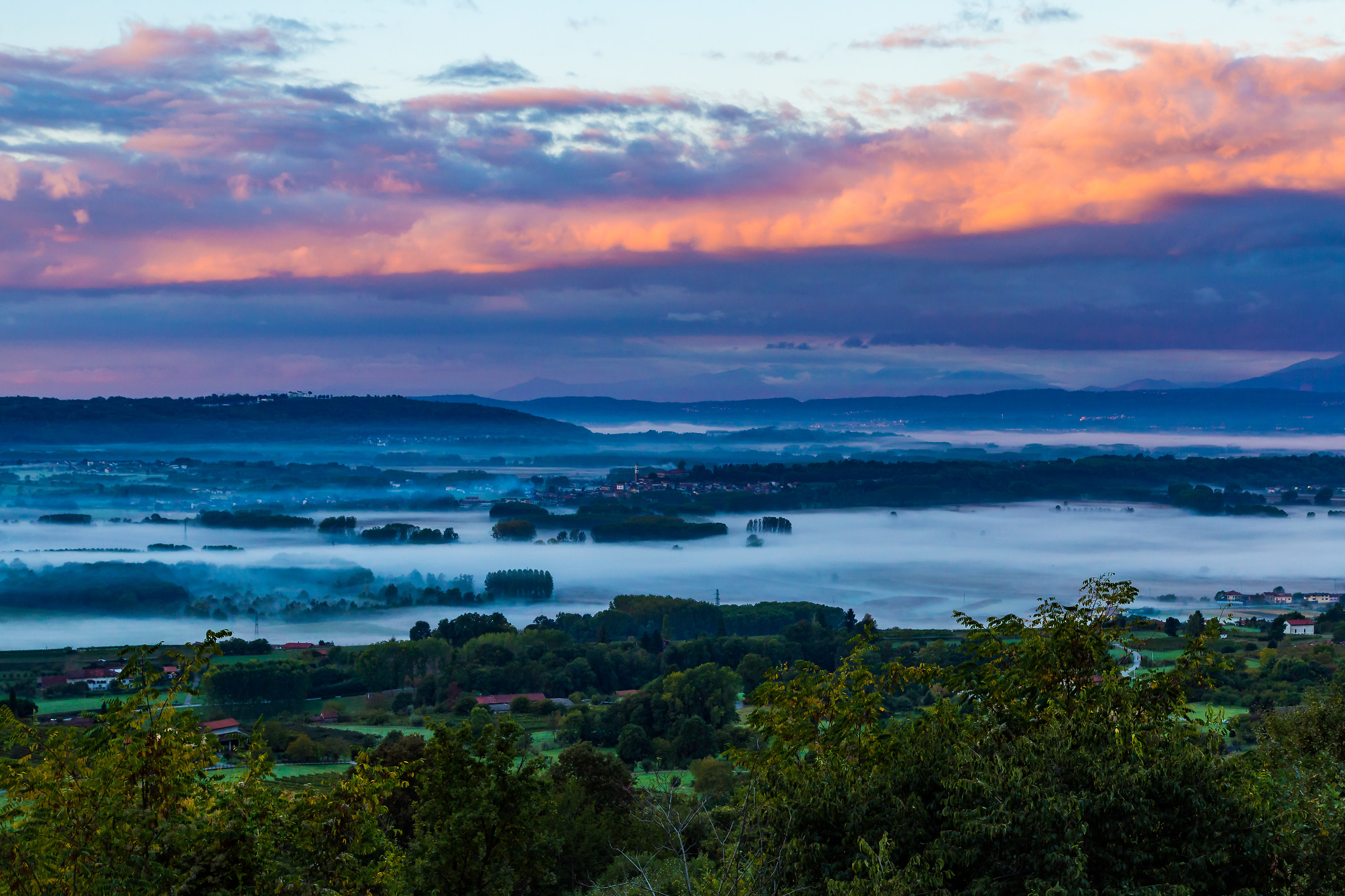 Pronti per lavorare, Zimone