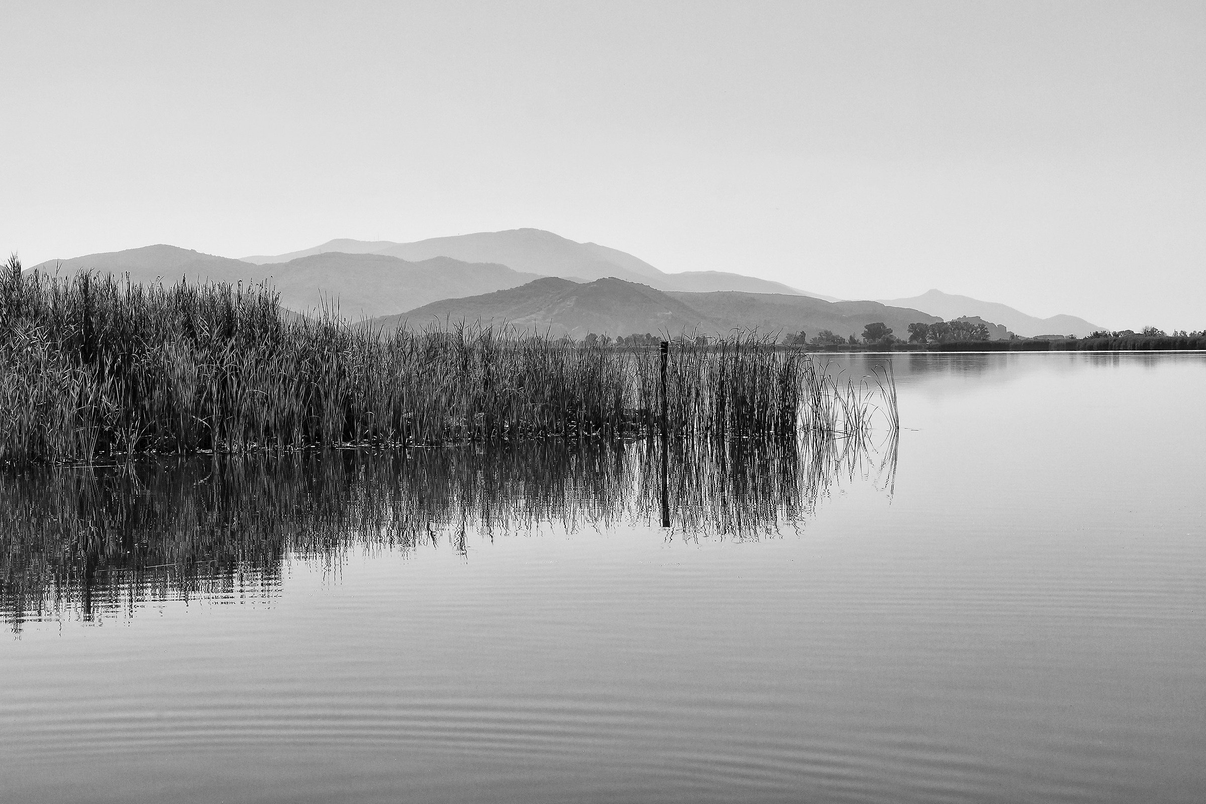 Lago di Massaciuccoli