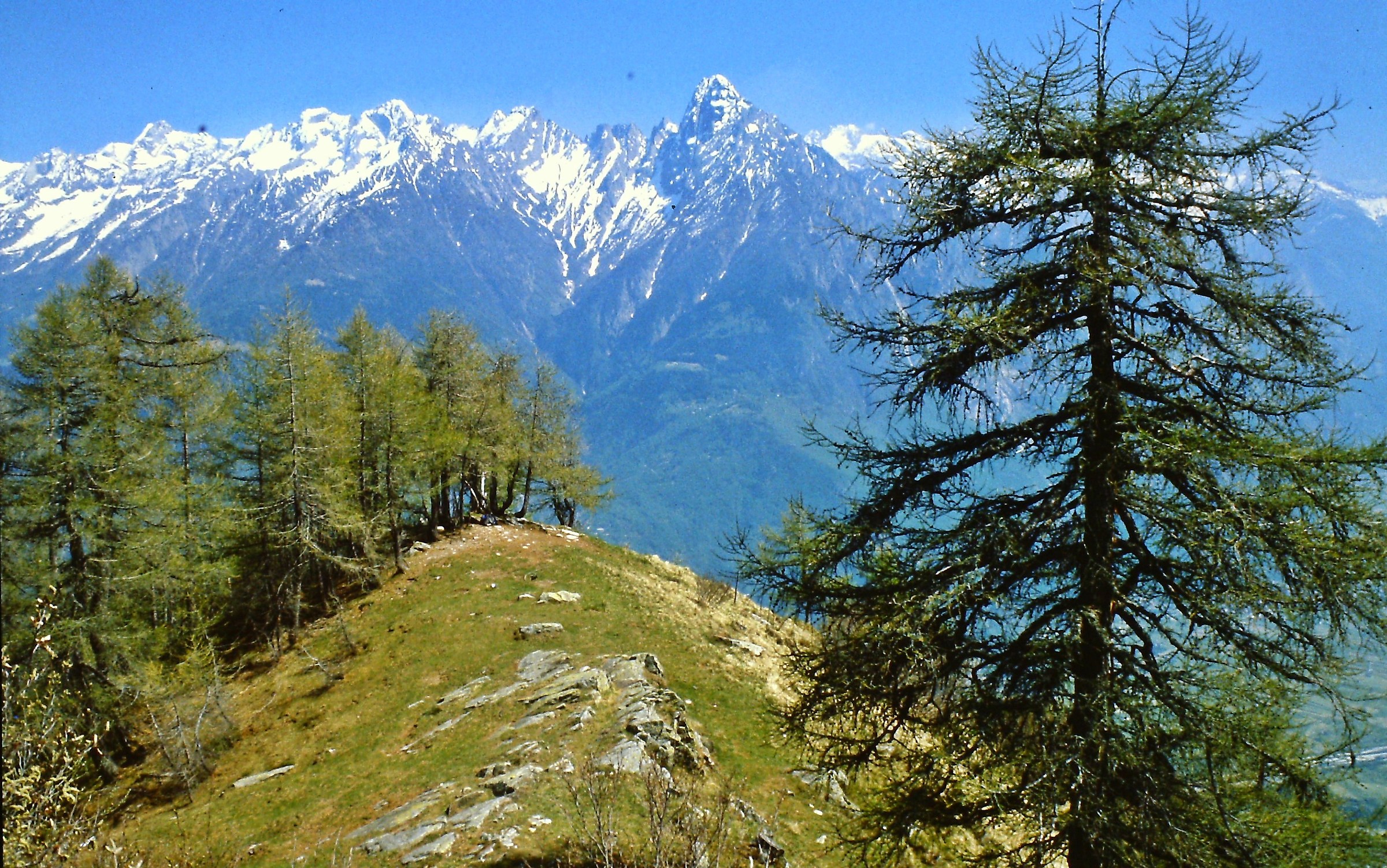 346 - verso selvagge prospettive - SO Valchiavenna