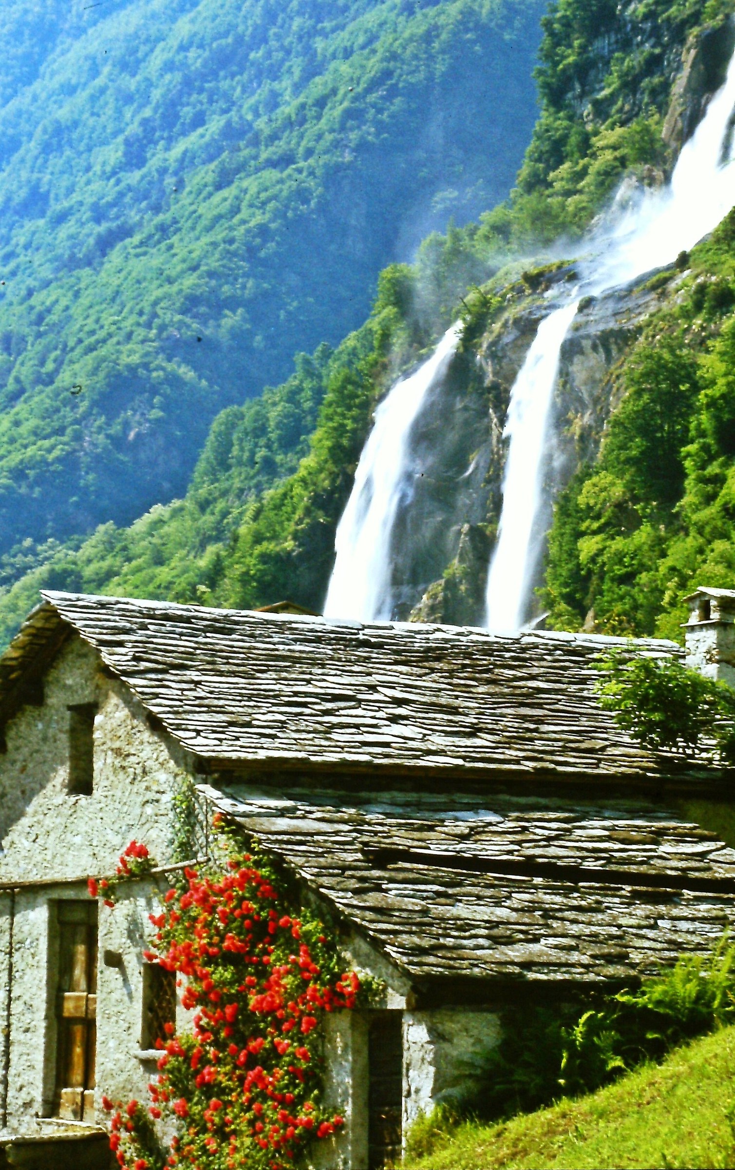 361 - servizi esterni con abbondante acqua corrente
