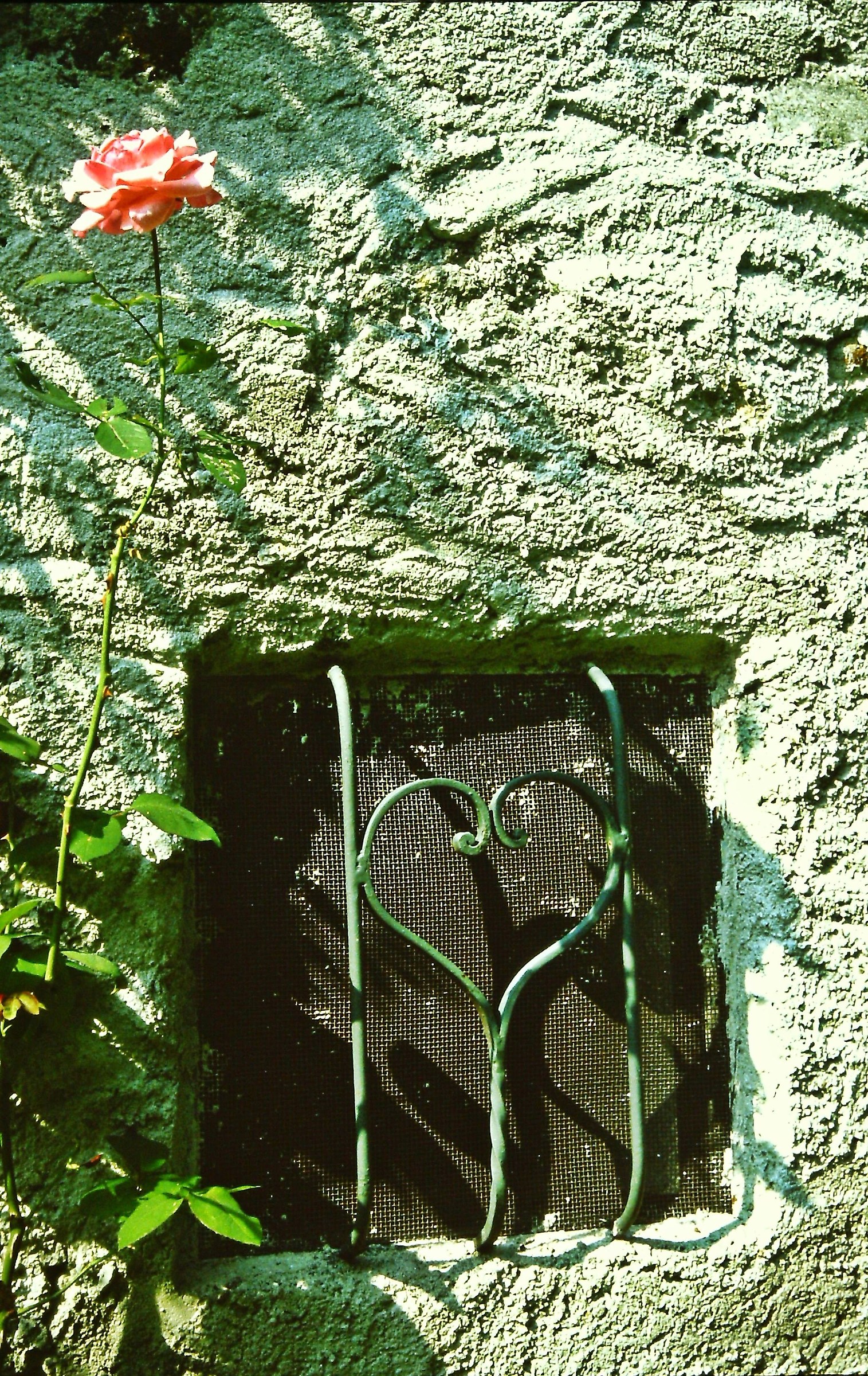 369 - quando non occorrono grandi architetti