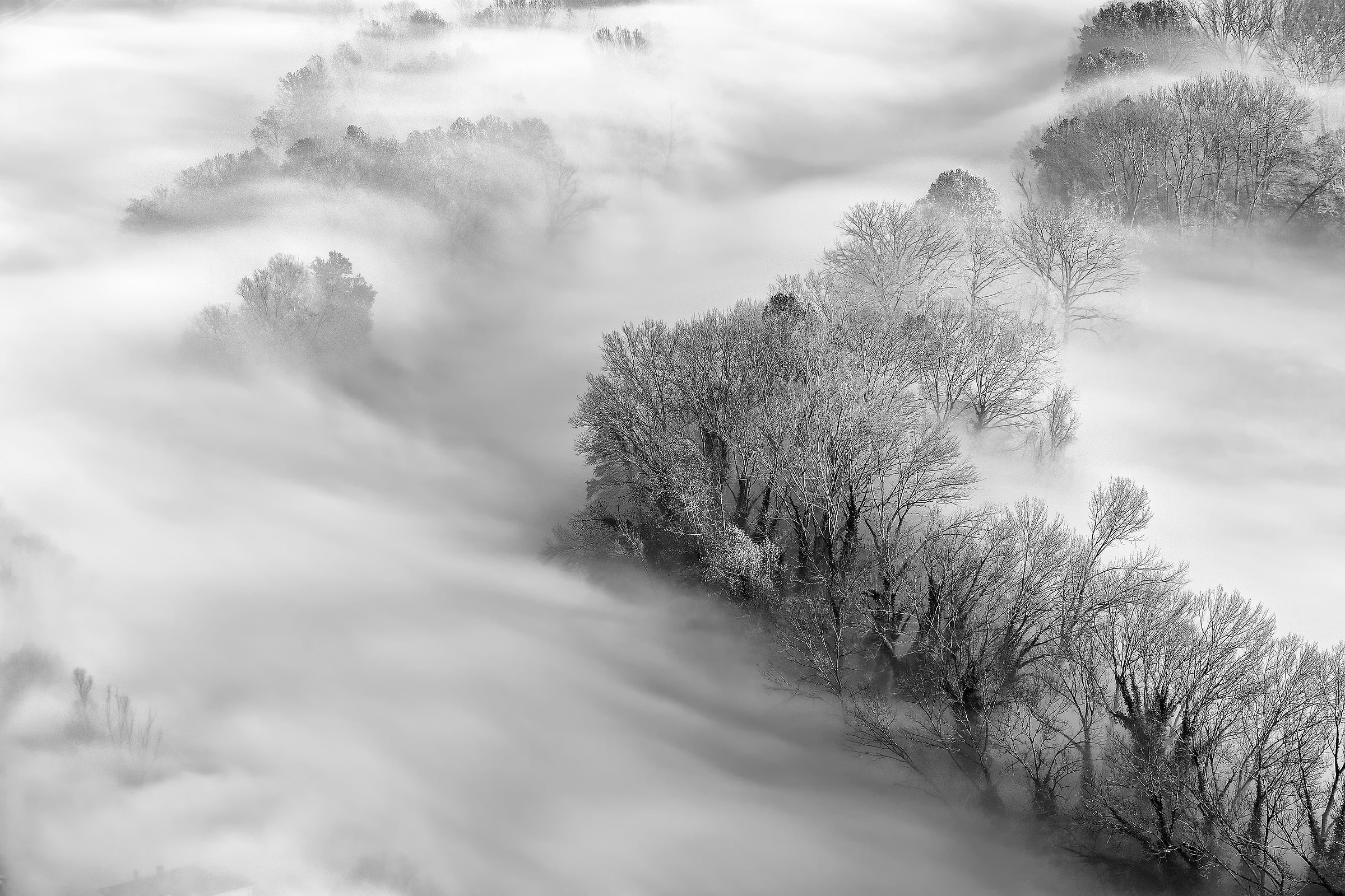 The river and the sea of ??fog