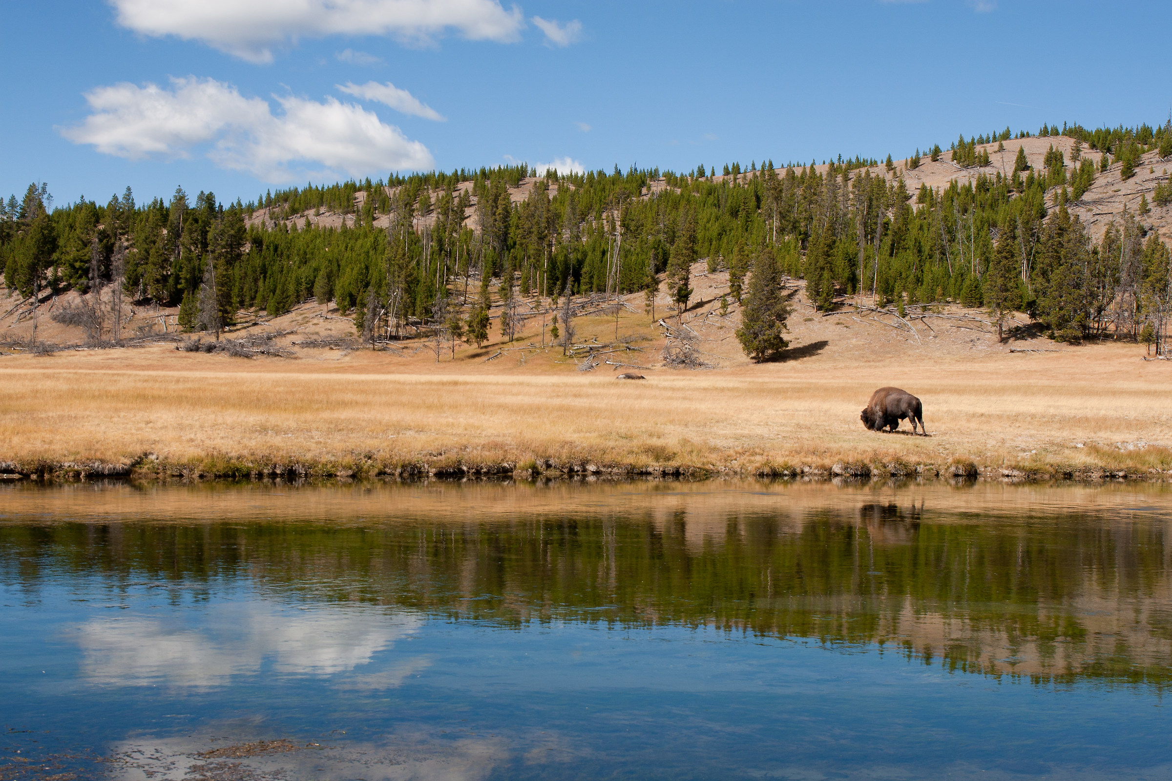Lamar Valley