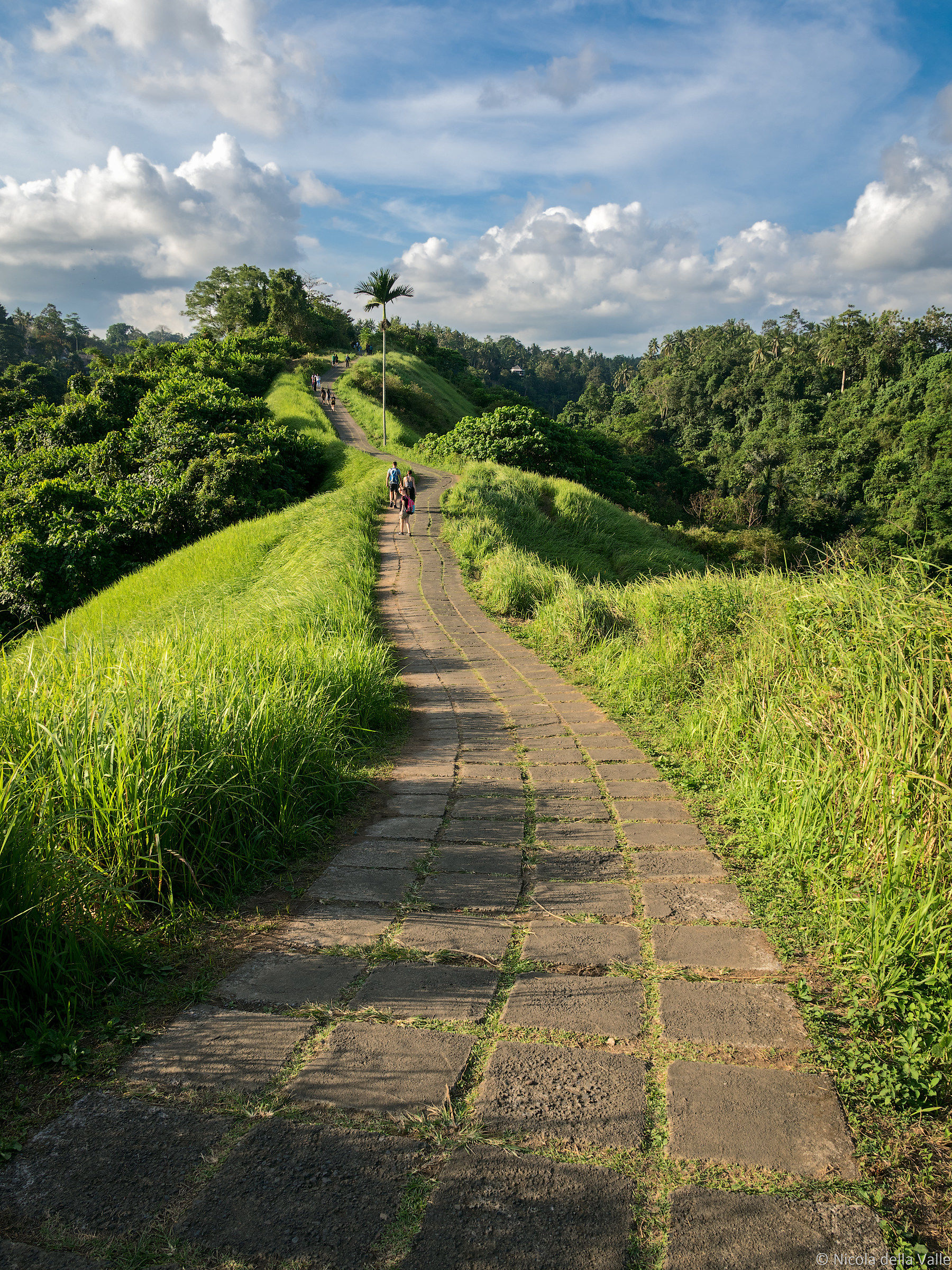 Campuhan Ridge Walk