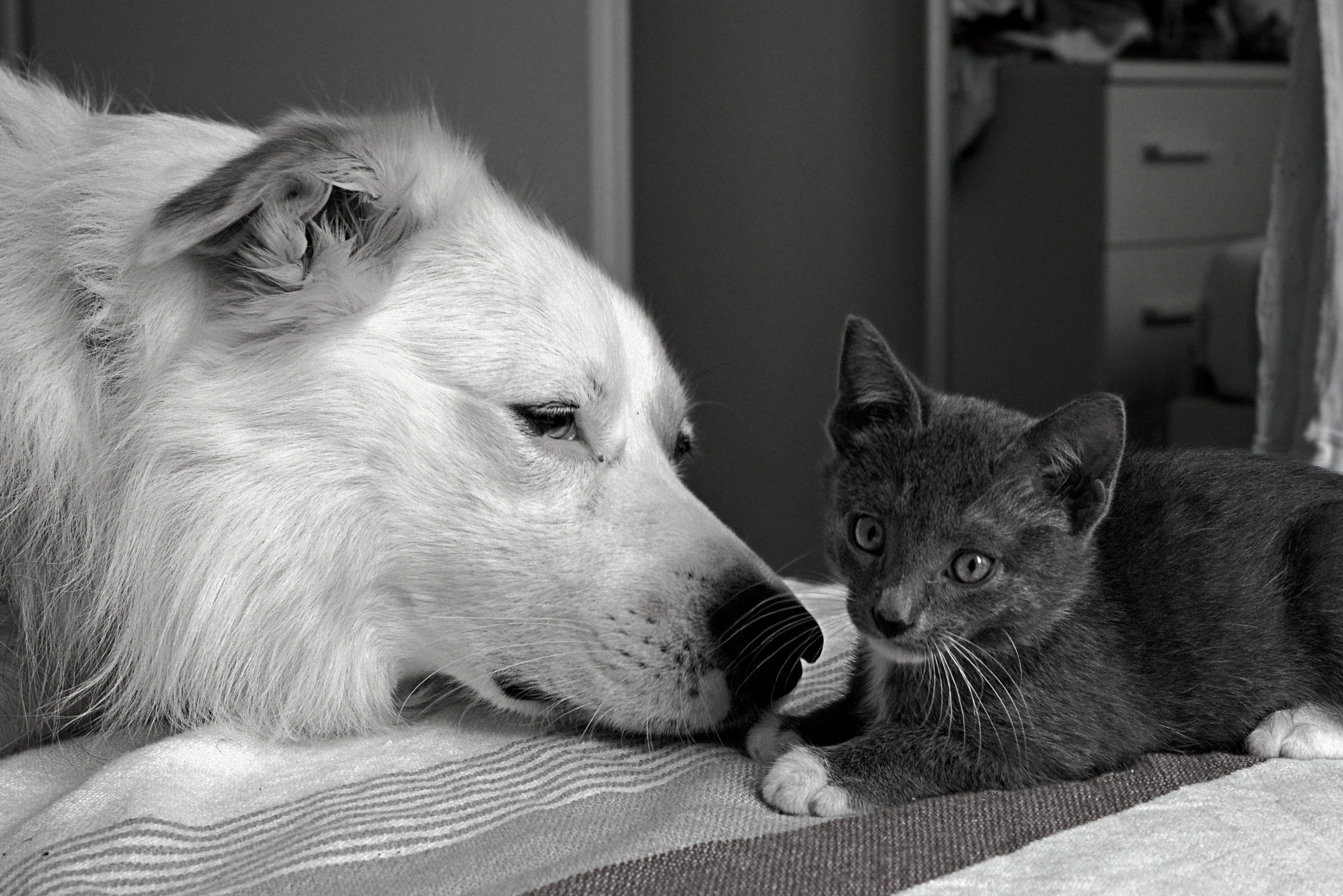 Ray and Morgan, friendship running
