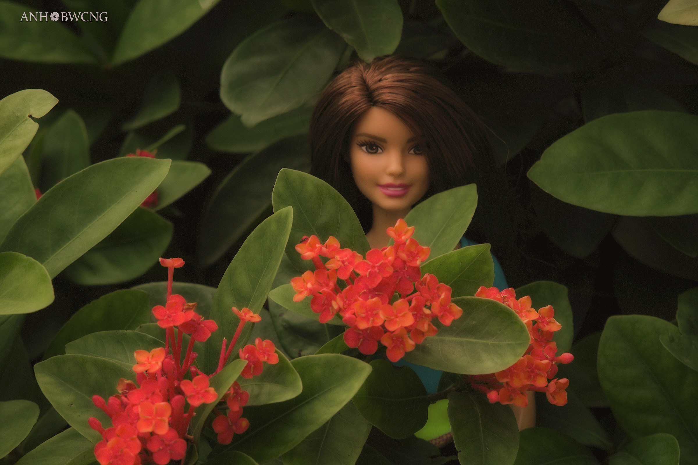 Little Beauty Lost In The Jungle