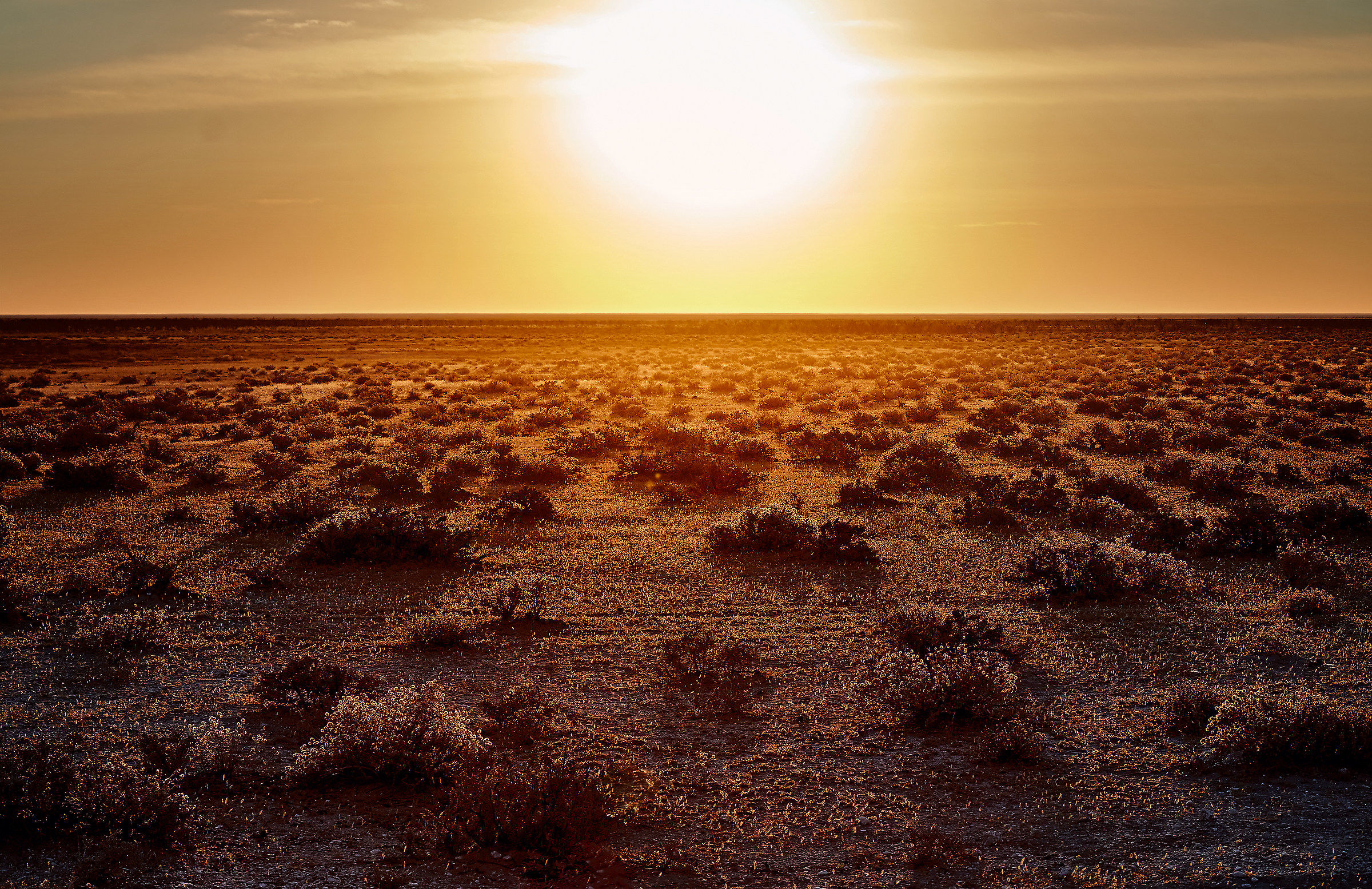 Dawn at the Etosha