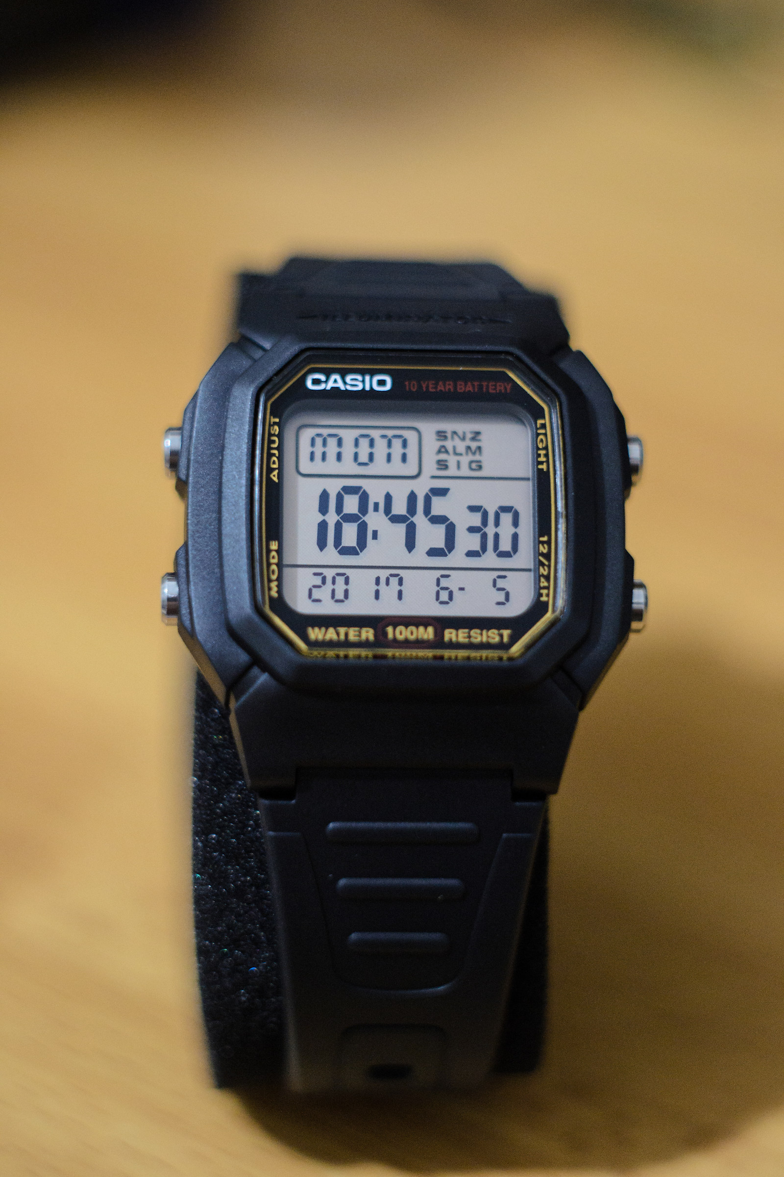 Love Casio!