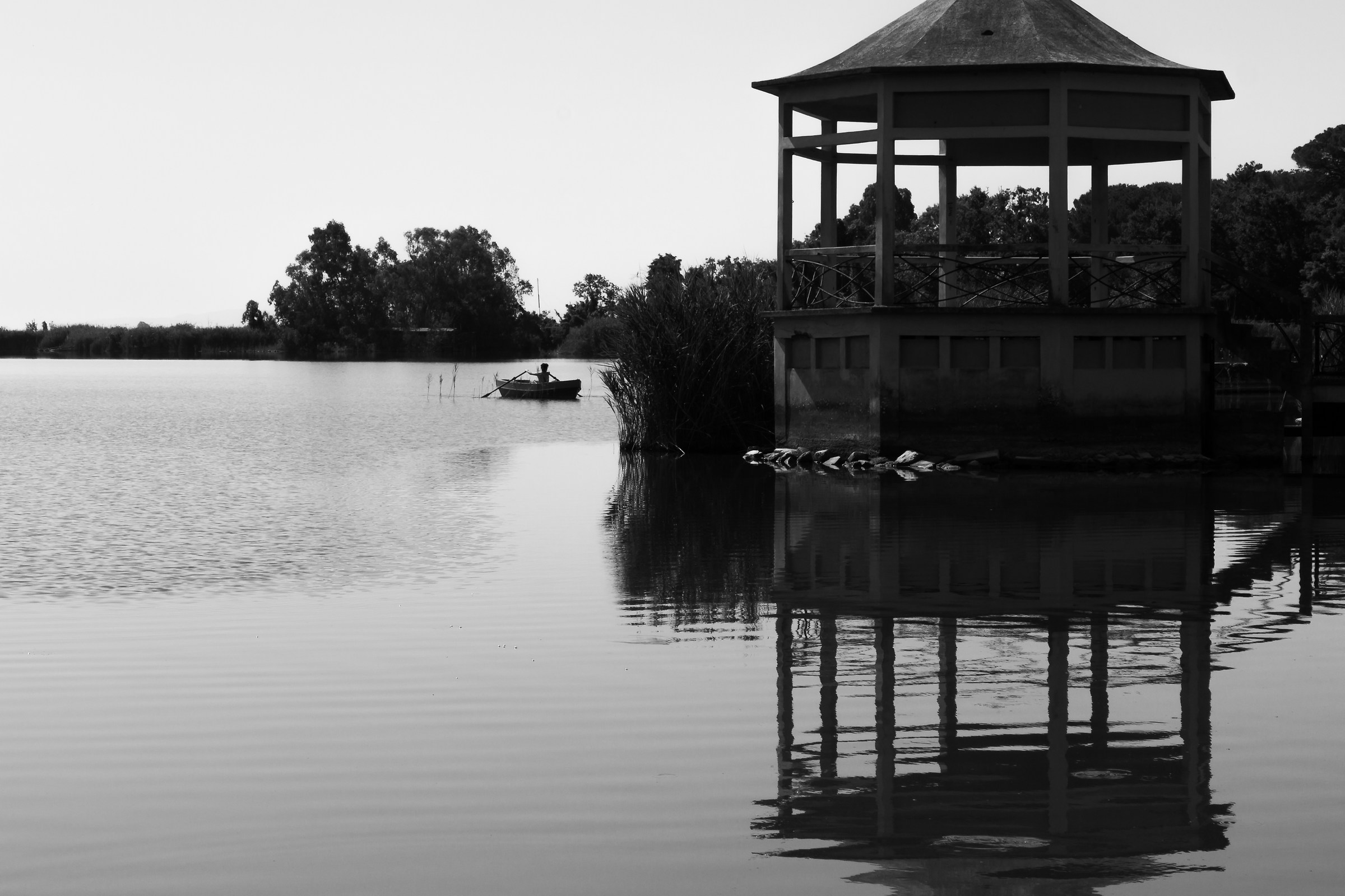 Lago di Massaciuccoli 2