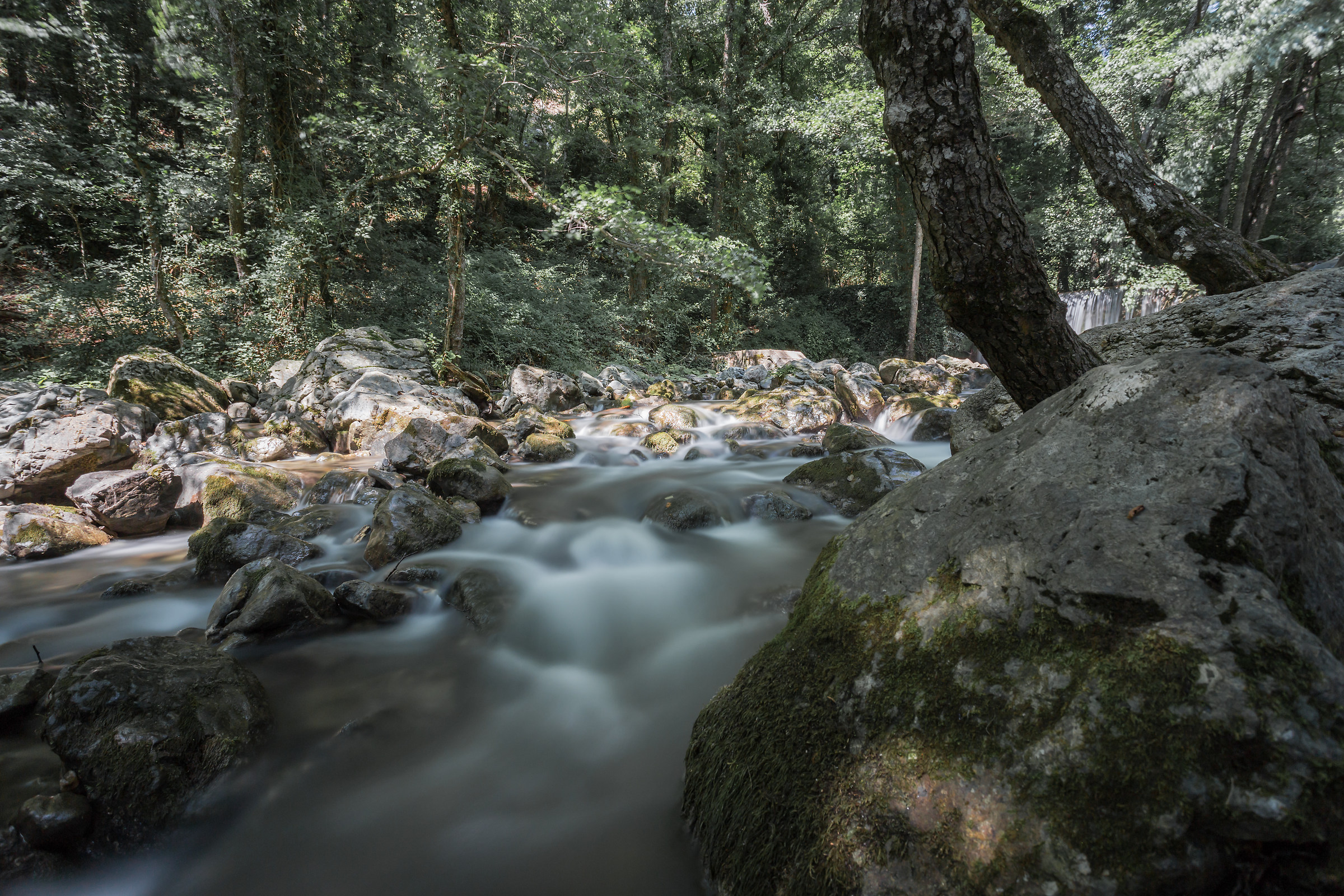 Bosco Magnano - Torrente Peschiera