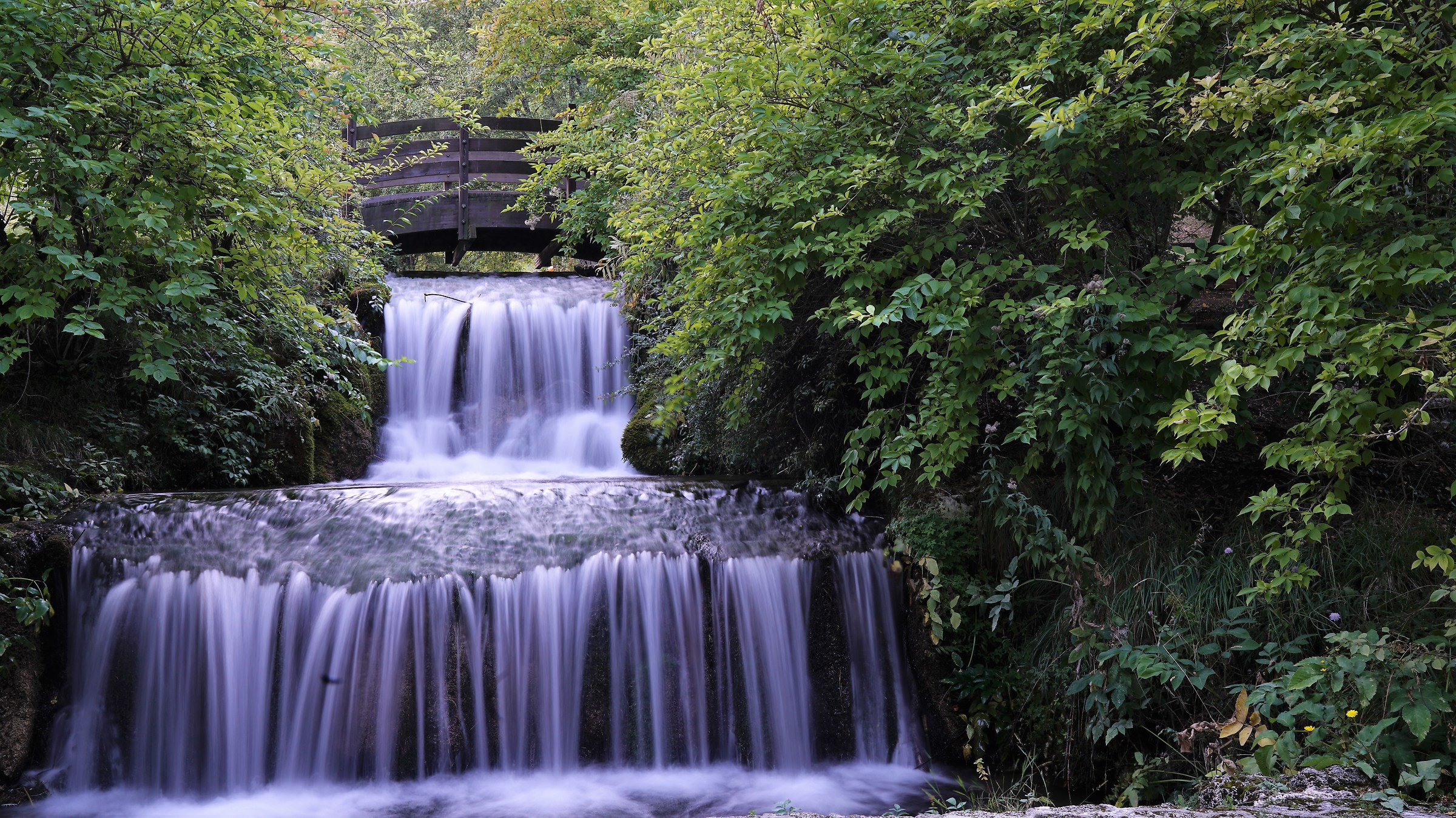 Parco Sponga Canistro (aq)