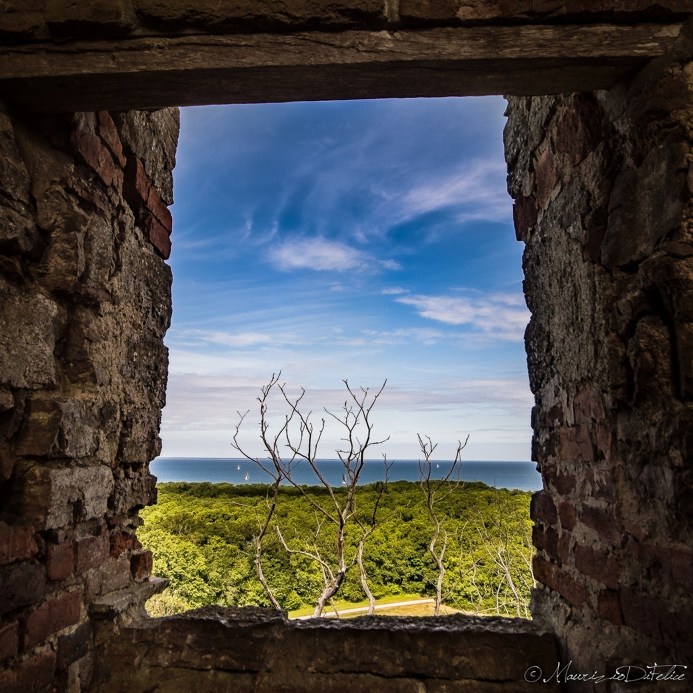 Blue Sky ... goodbye