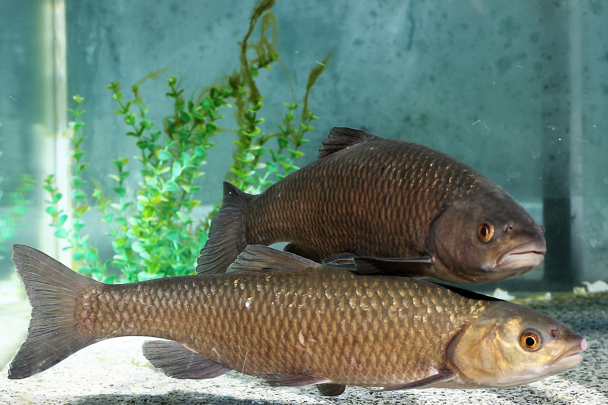 We're a little tight