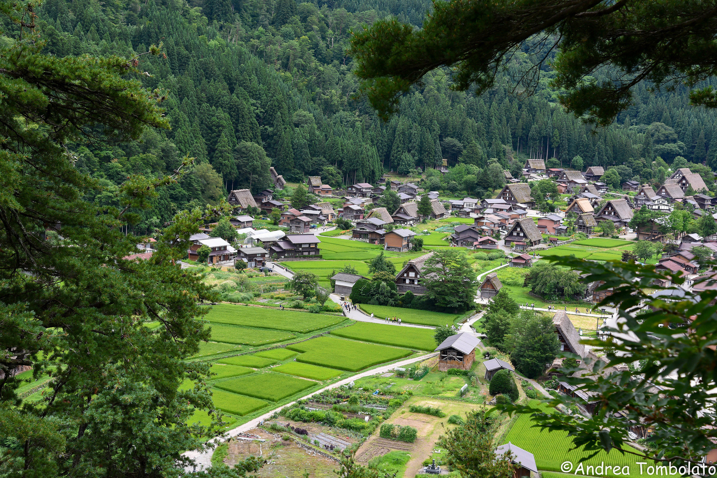 Shirakawa-go dall'alto