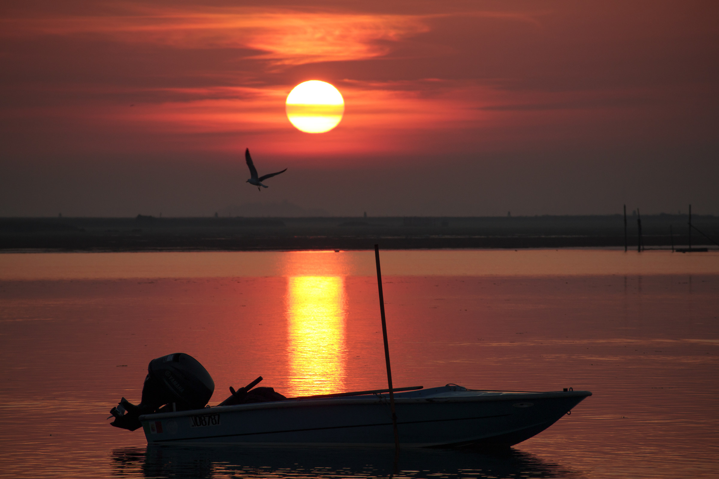 Alba al Parco San Giuliano