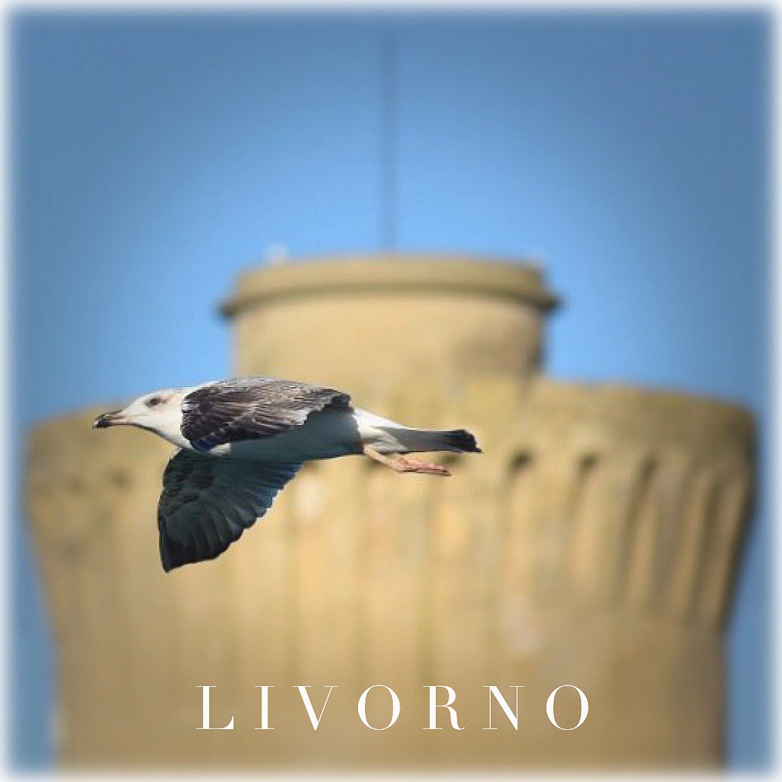 Livorno