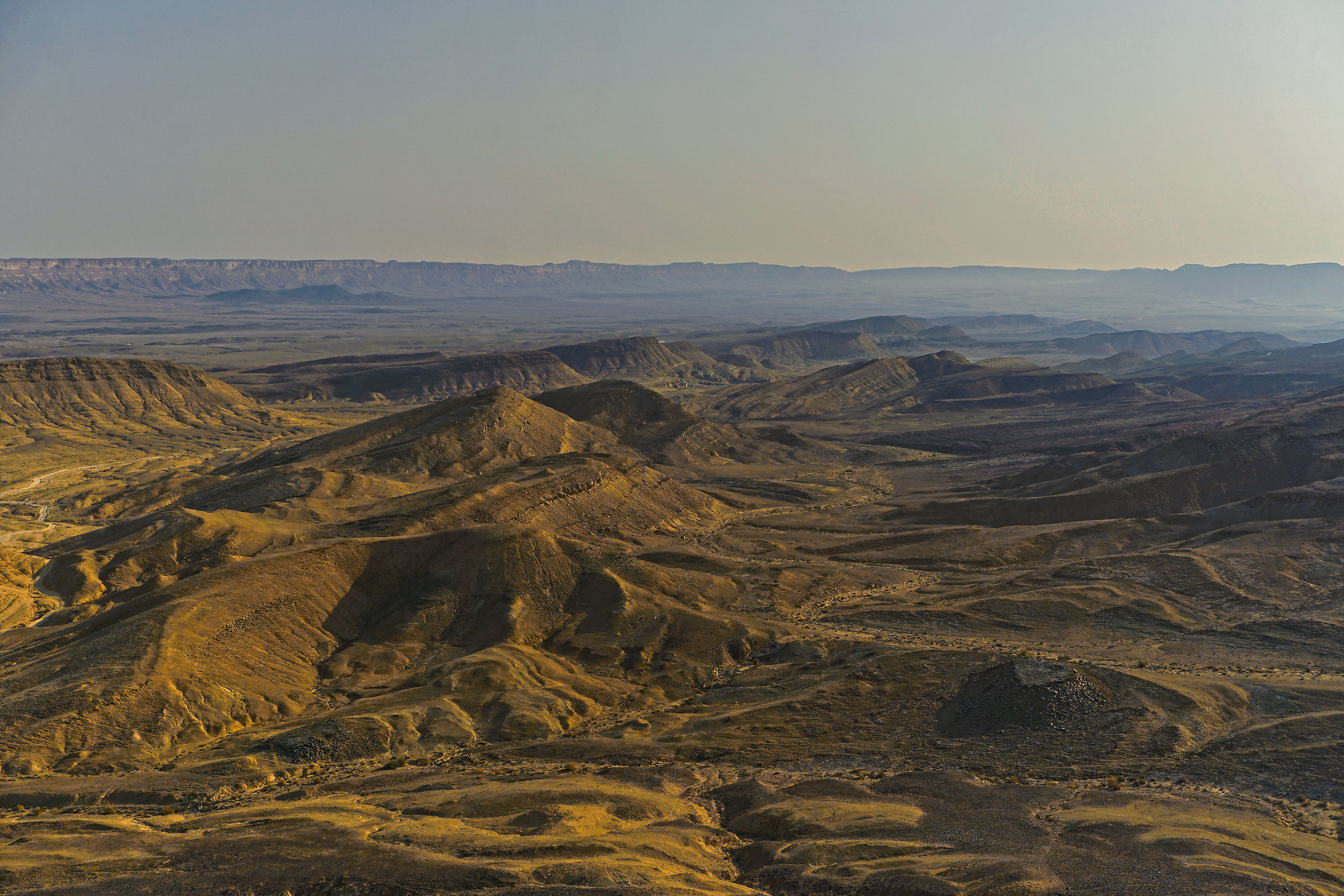 Negev desert